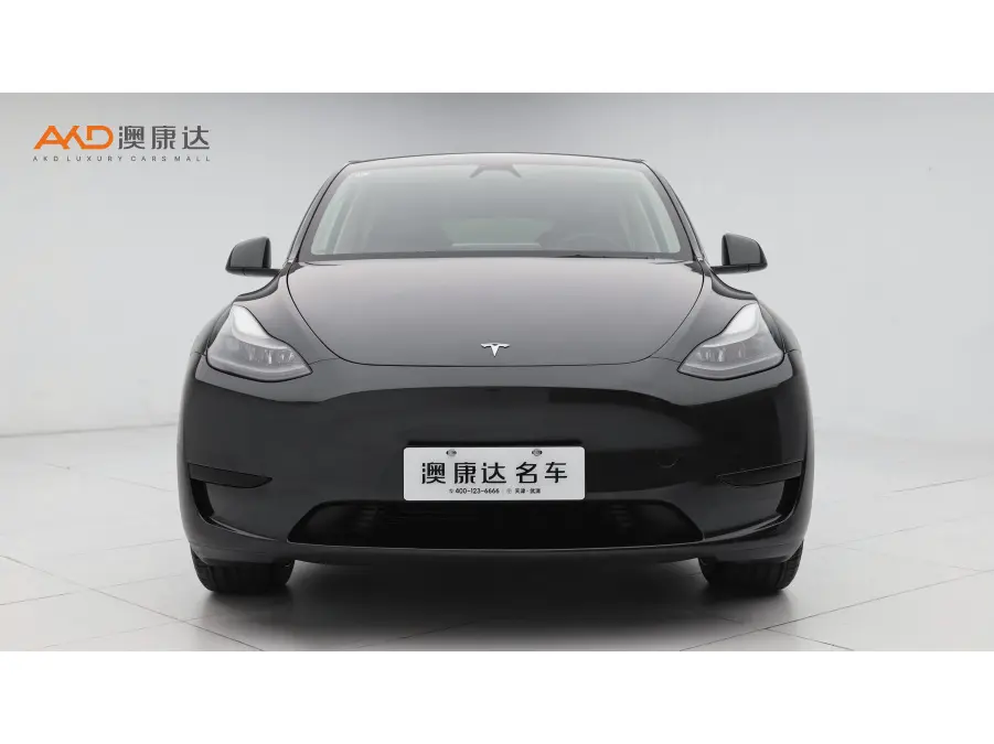 Tesla Model Y  из Китая
