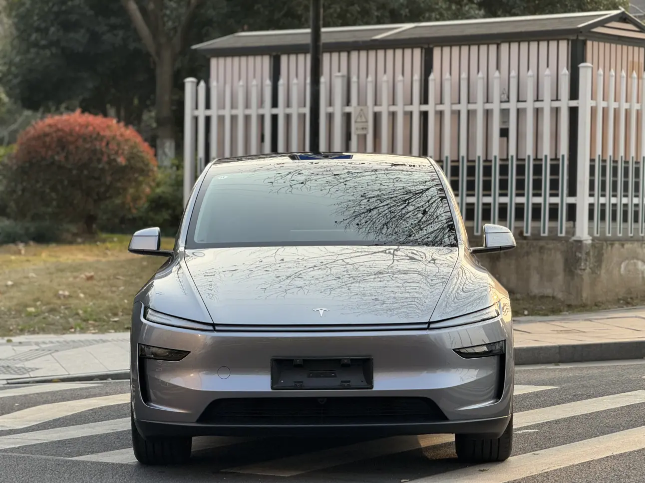 Tesla Model Y  из Китая