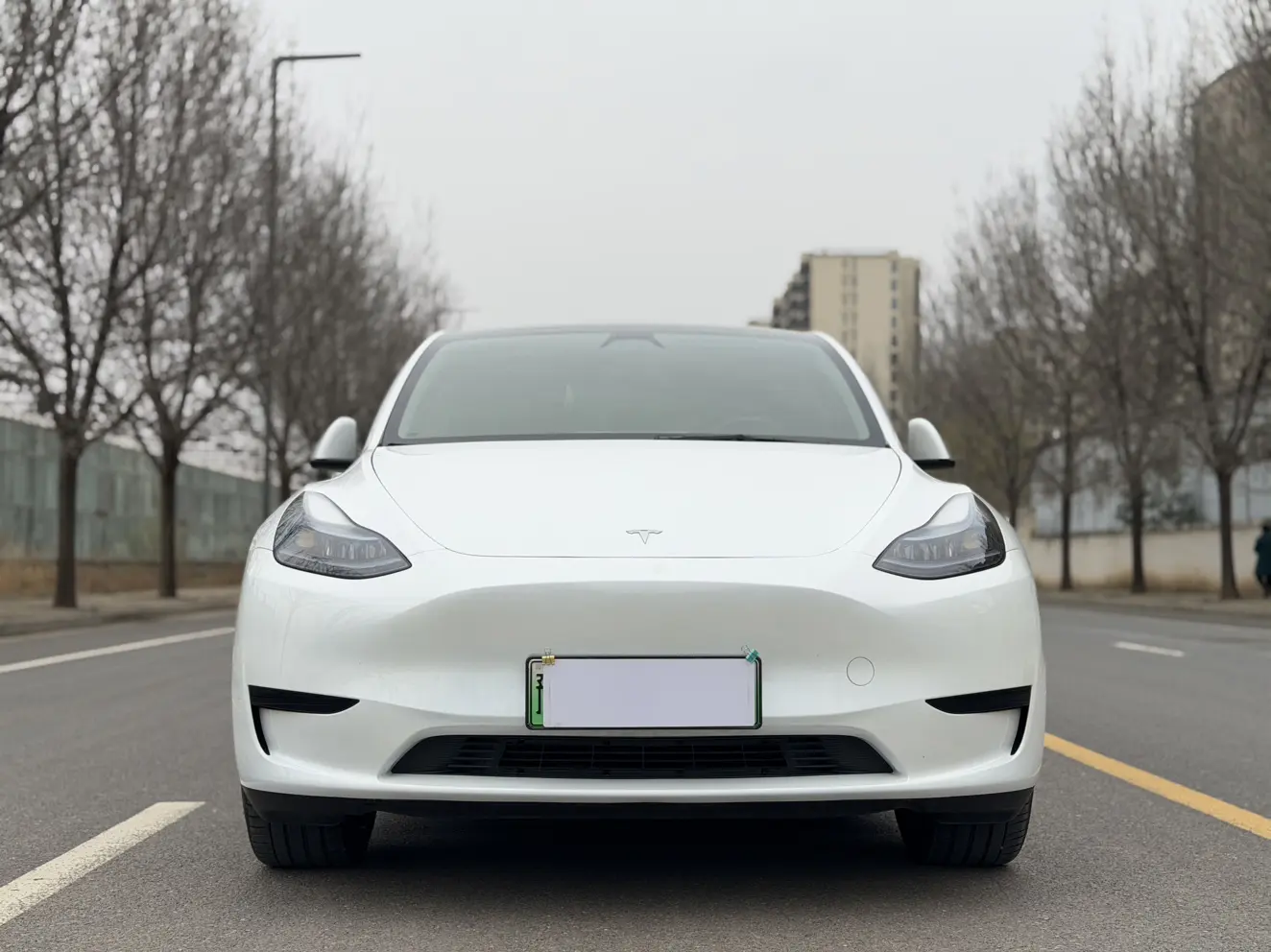 Tesla Model Y  из Китая