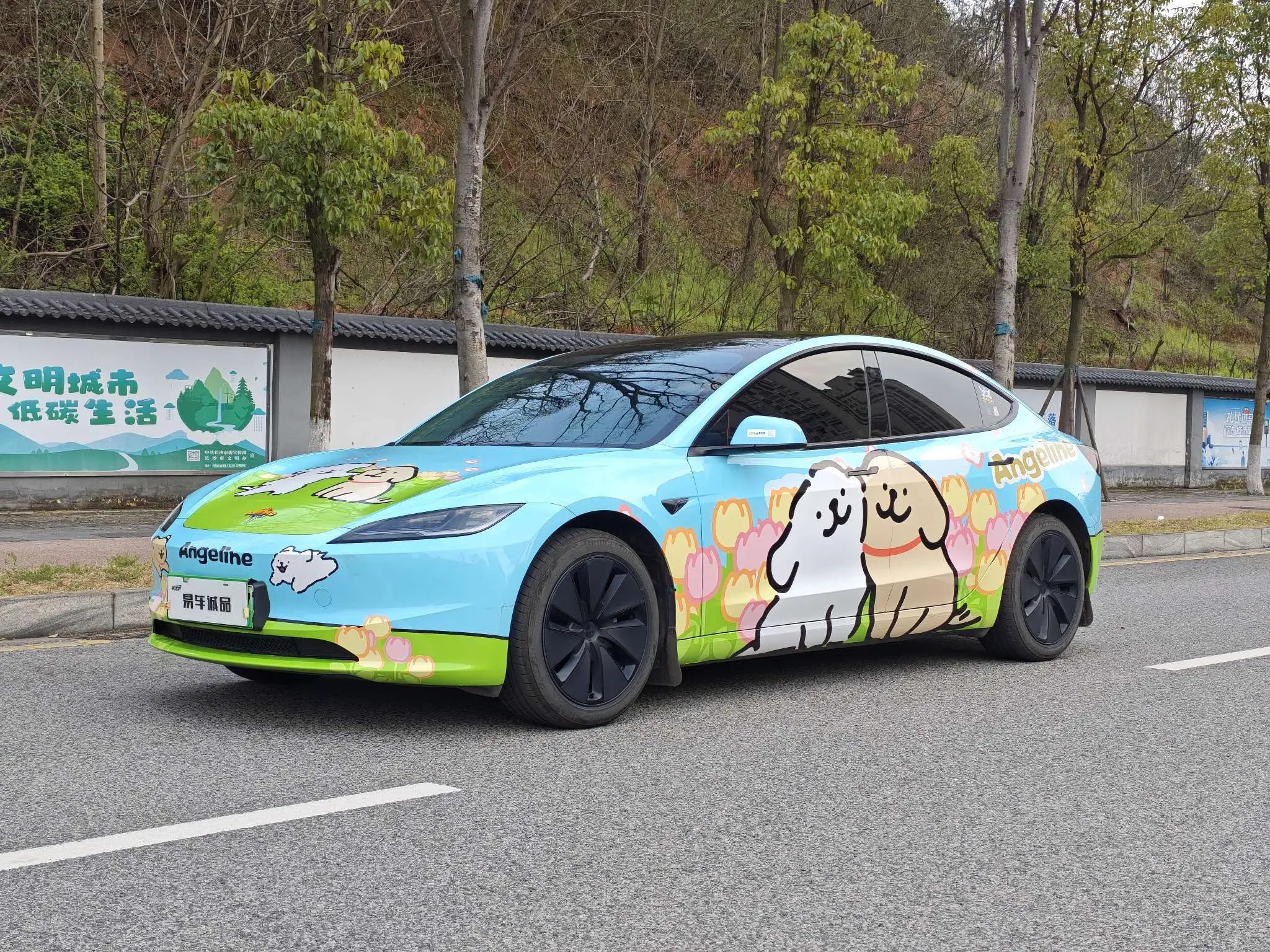 Tesla Model 3  из Китая