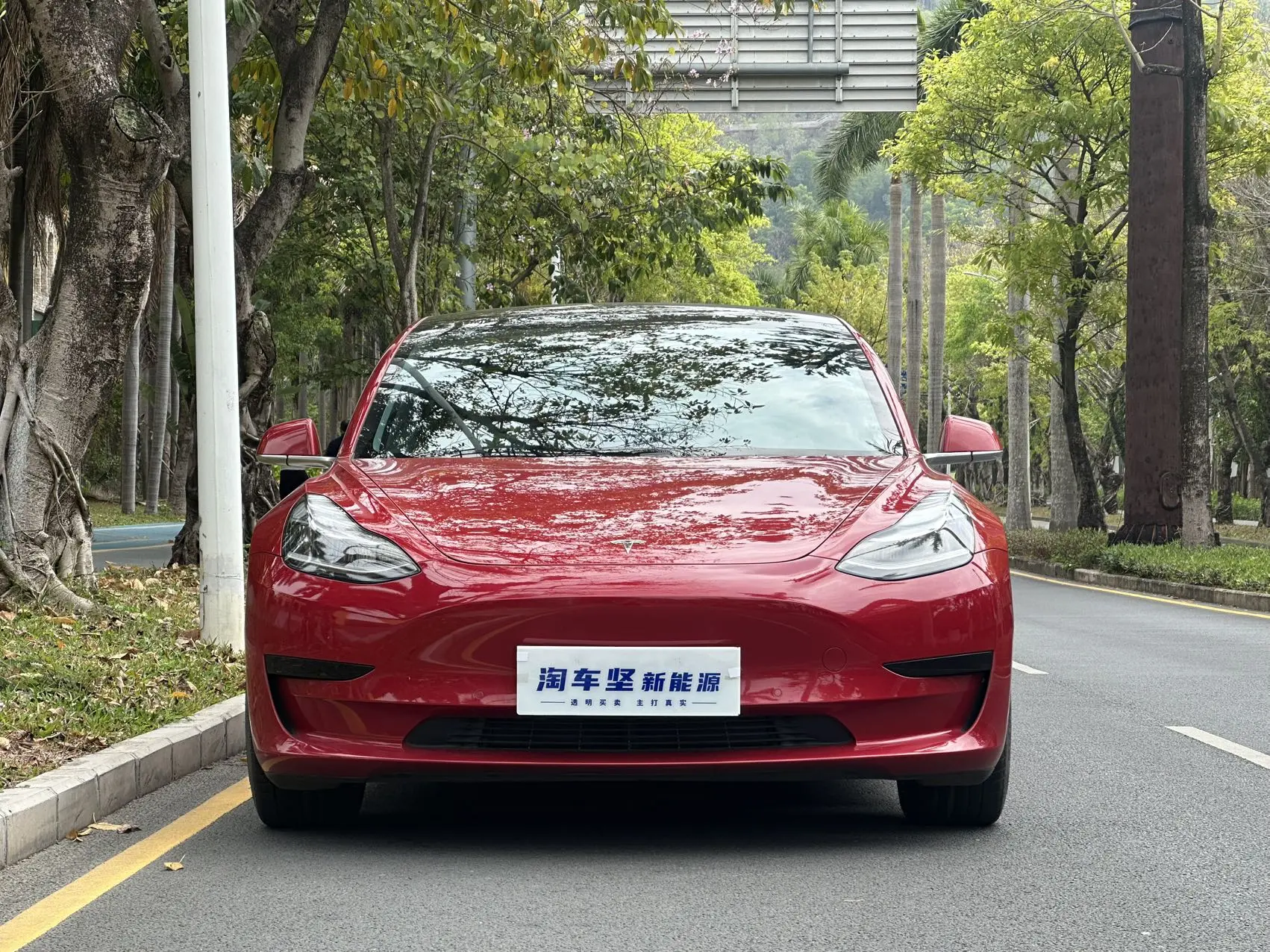 Tesla Model 3  из Китая