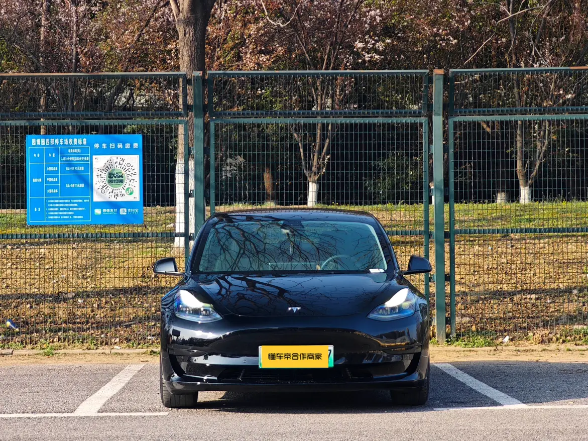 Tesla Model 3  из Китая