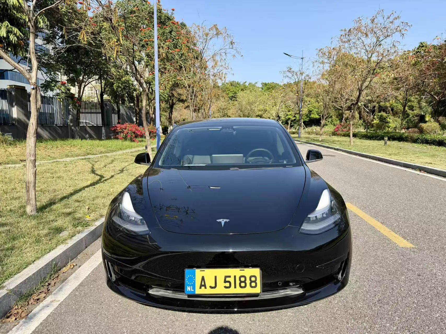 Tesla Model 3  из Китая