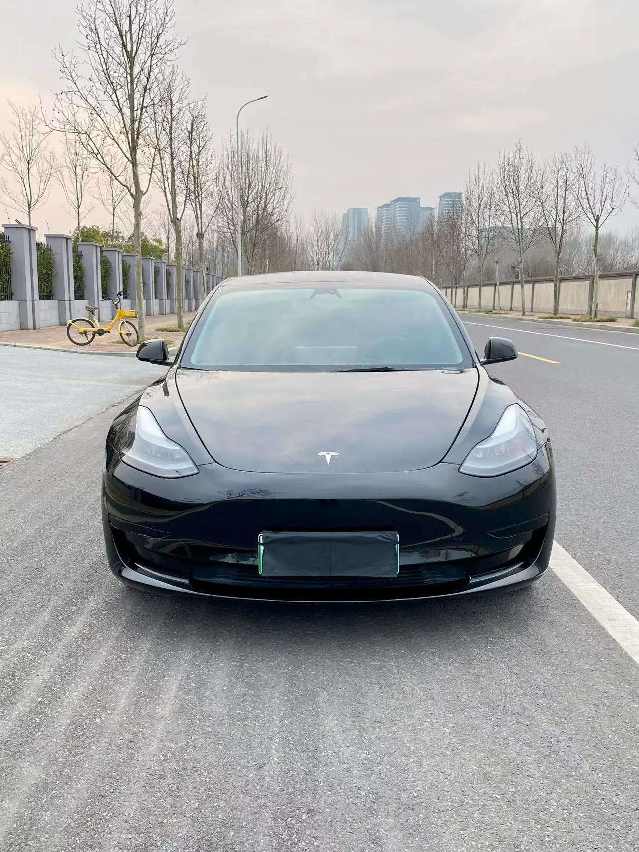 Tesla Model 3  из Китая