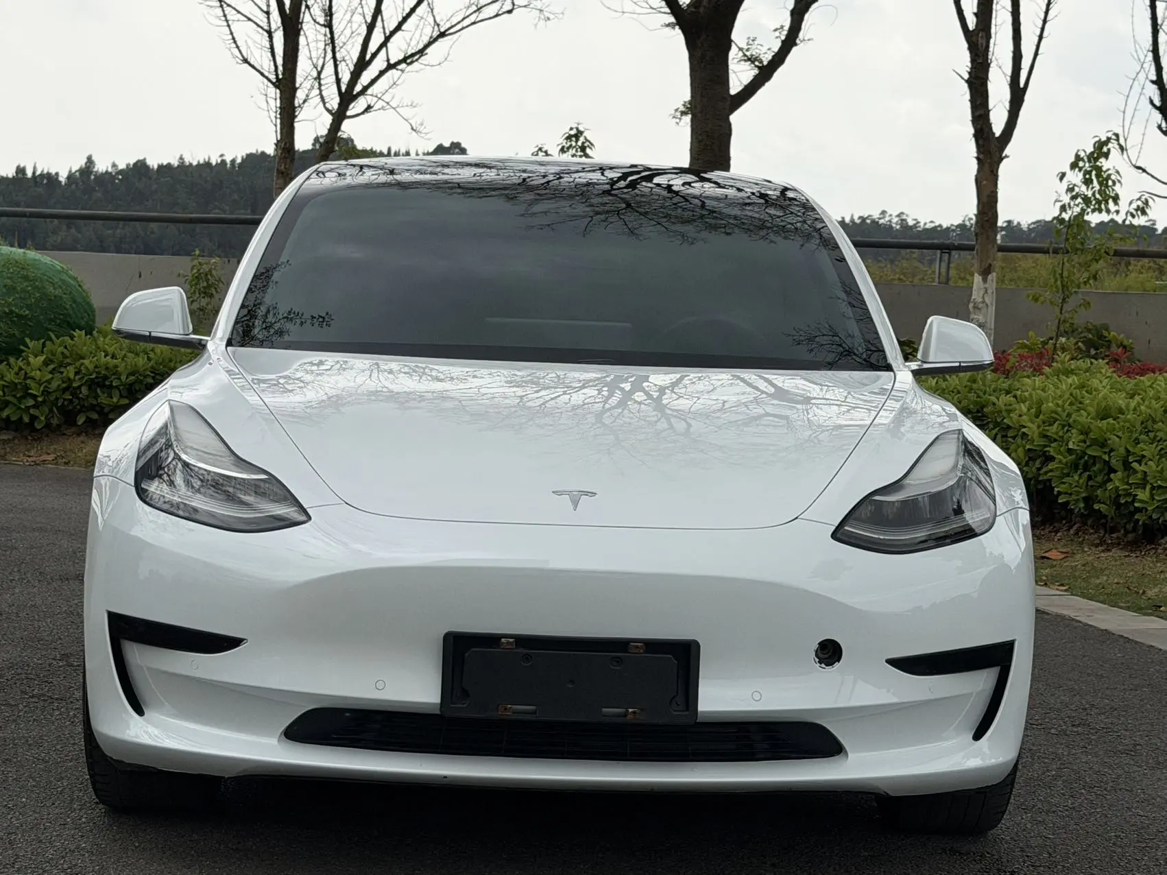 Tesla Model 3  из Китая