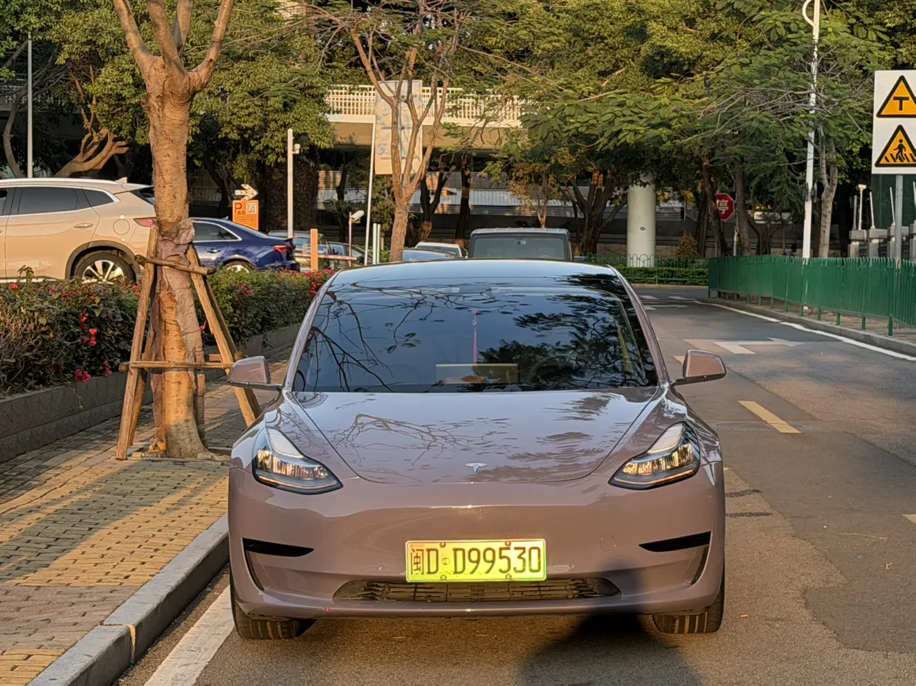 Tesla Model 3  из Китая