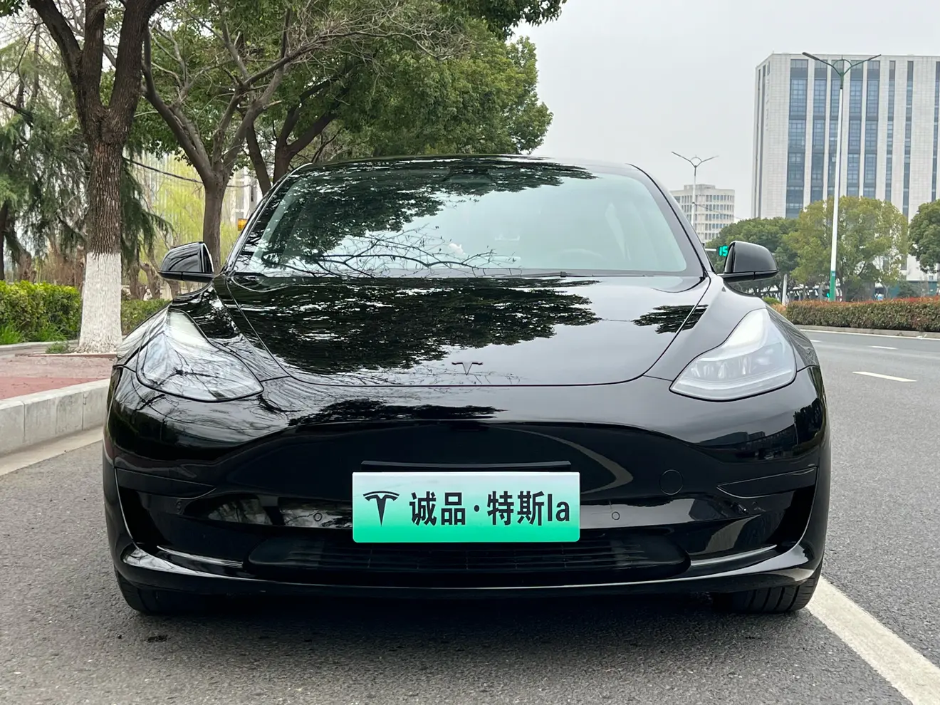 Tesla Model 3  из Китая