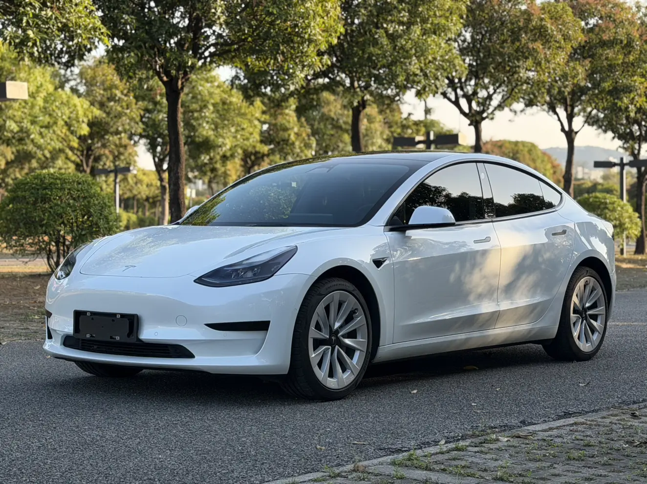 Tesla Model 3  из Китая