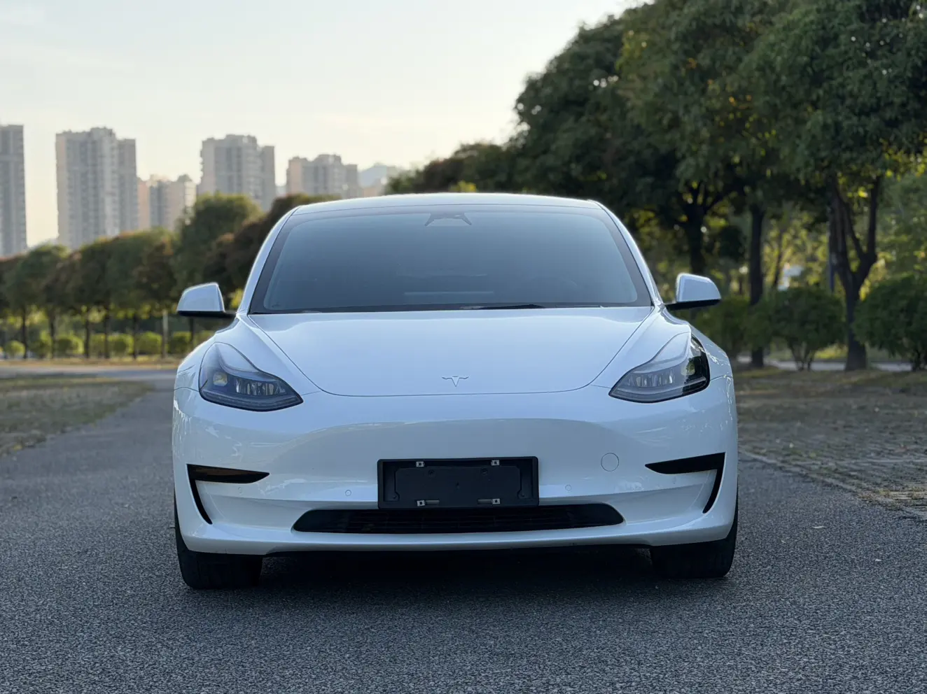 Tesla Model 3  из Китая