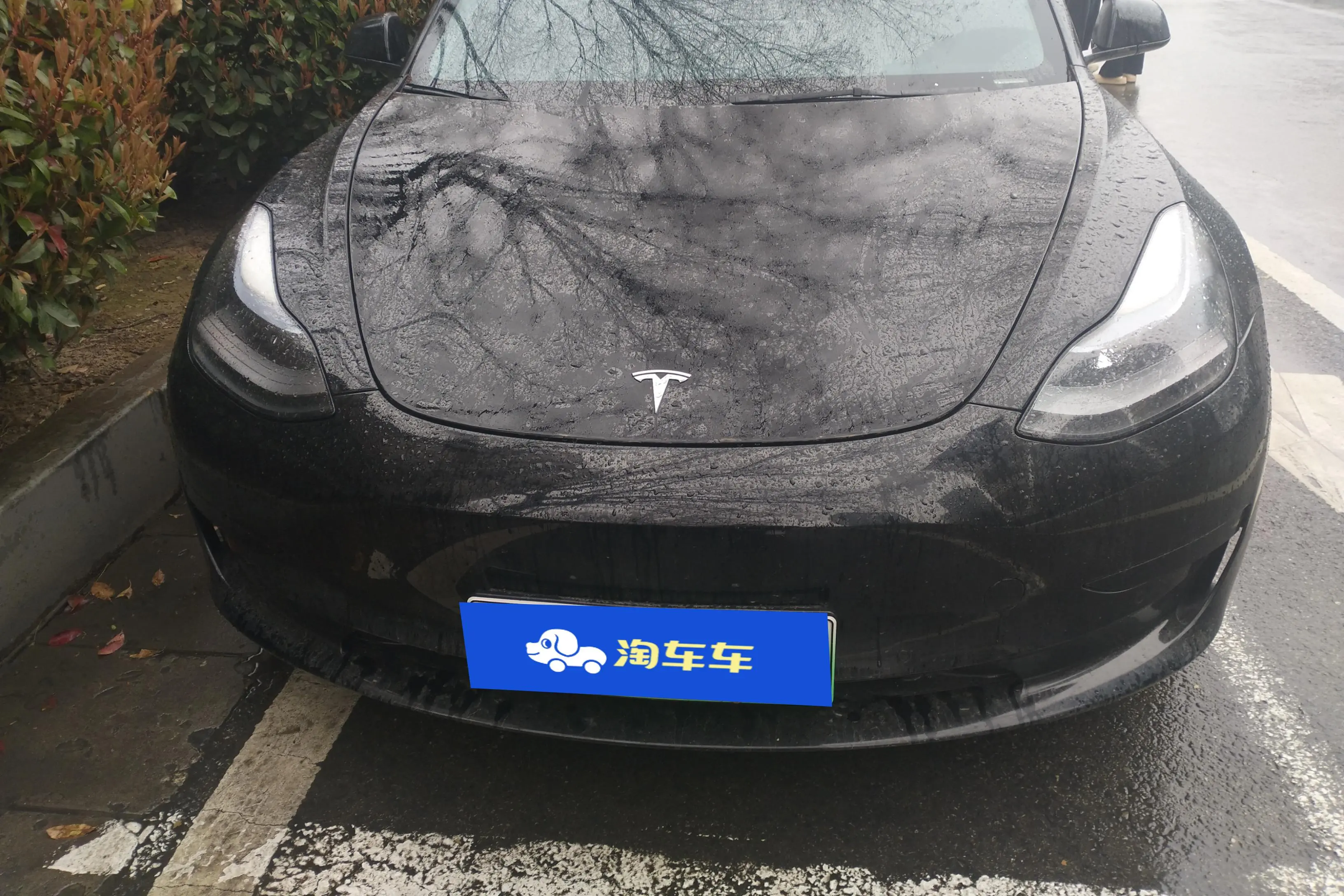 Tesla Model 3  из Китая