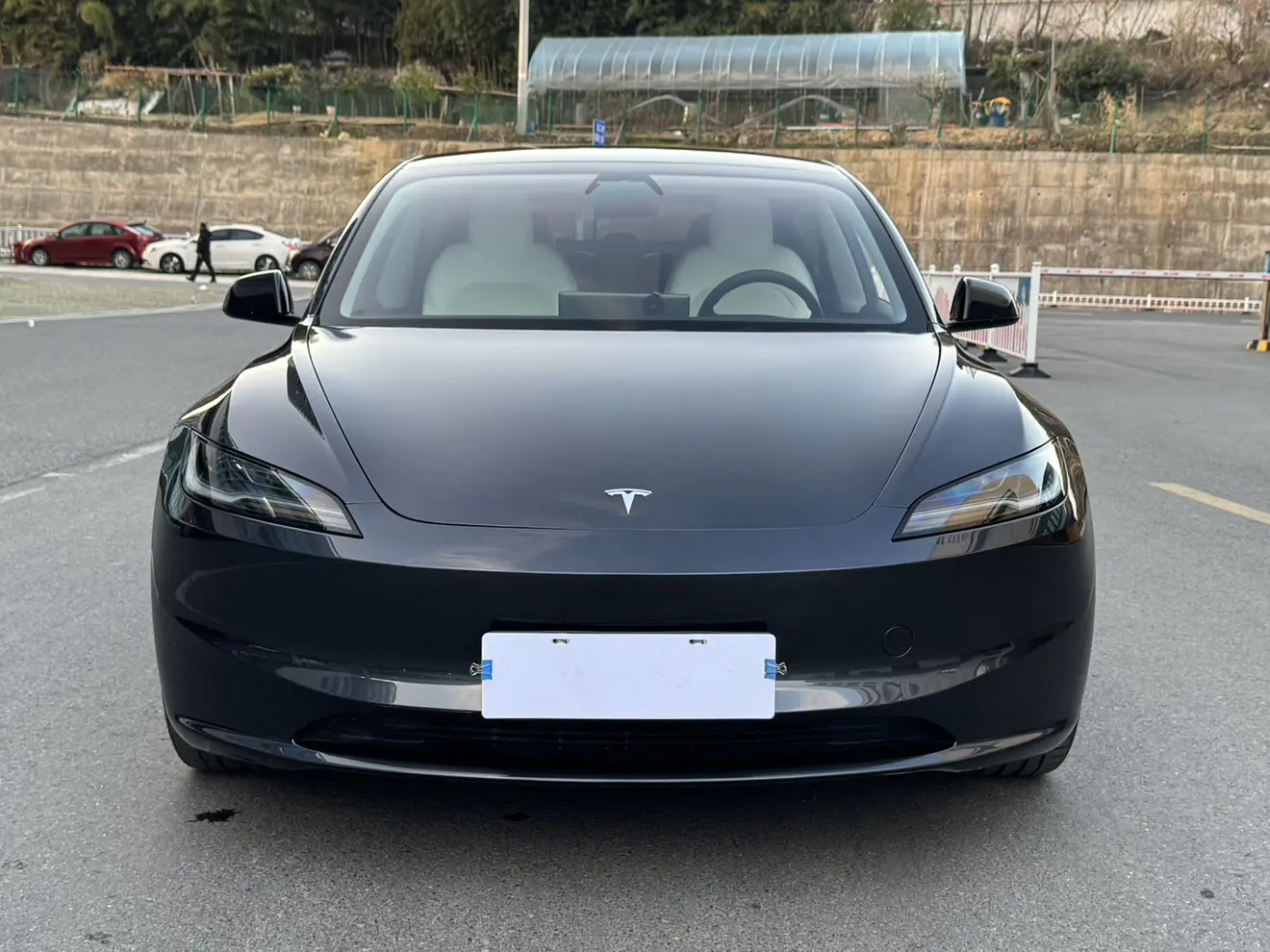 Tesla Model 3  из Китая