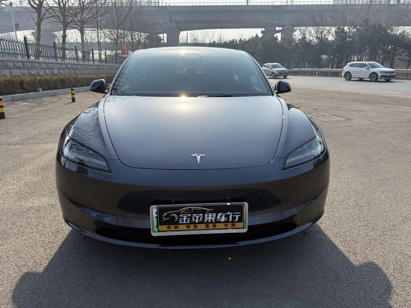 Tesla Model 3  из Китая