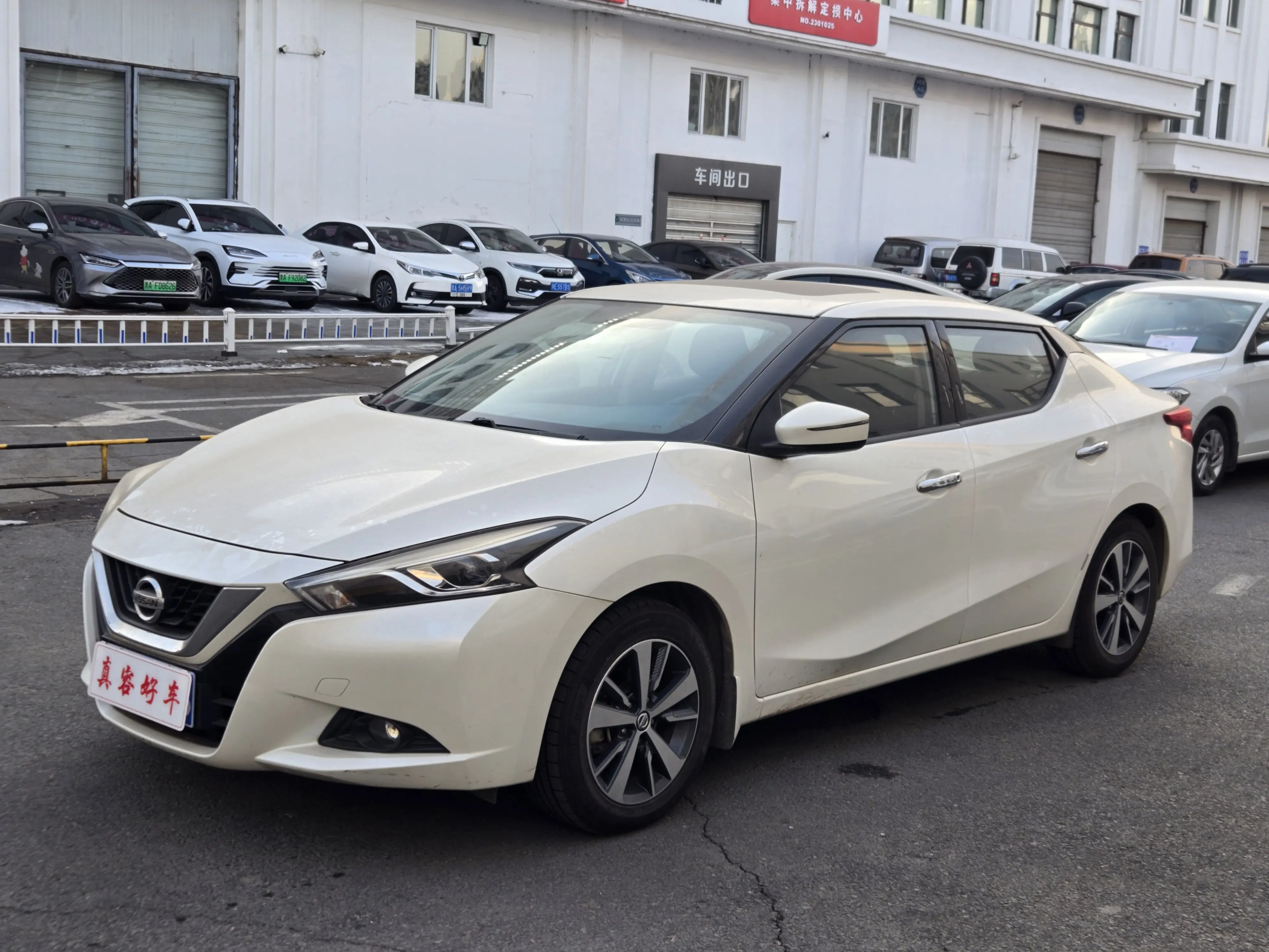Nissan Bluebird