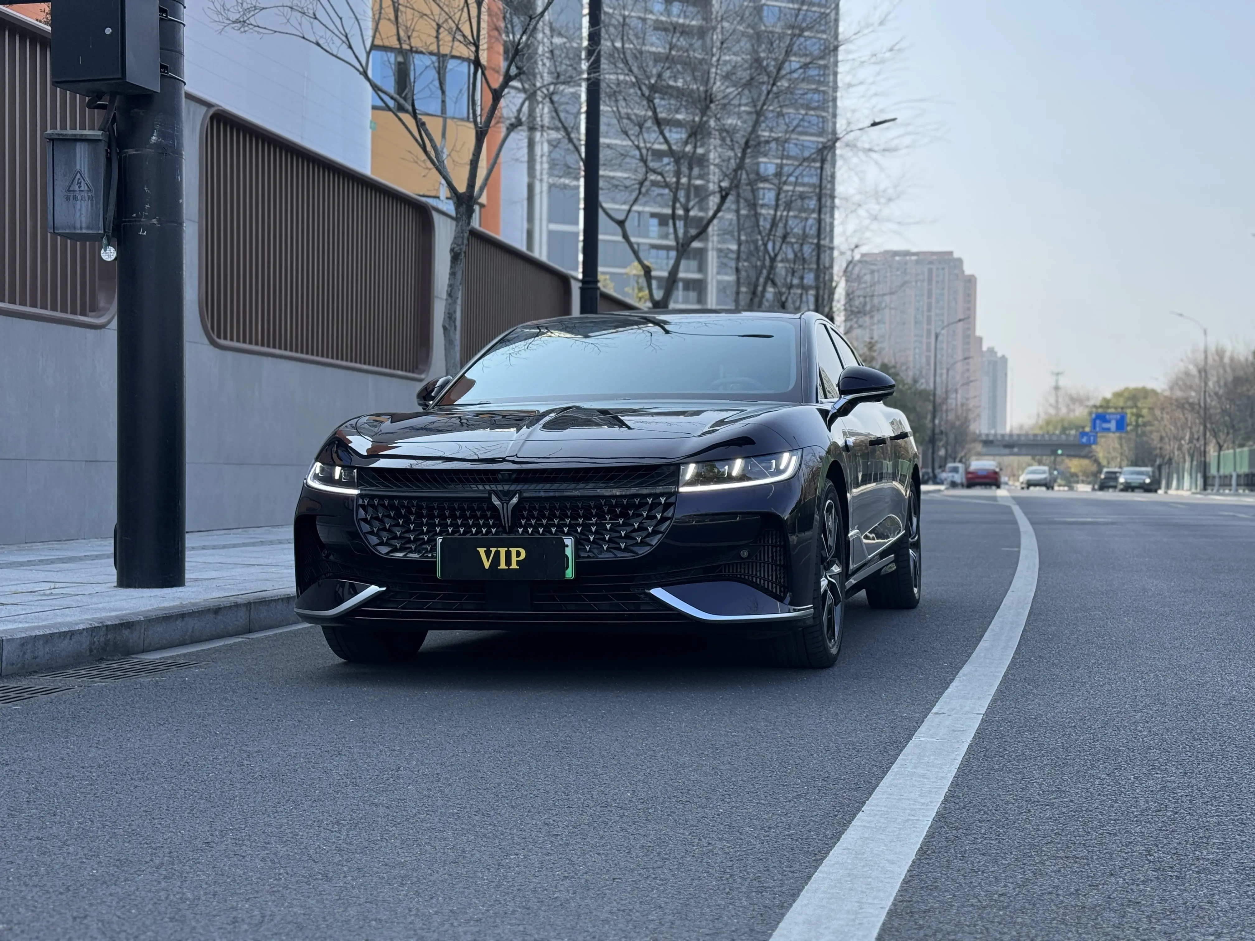 Voyah Passion PHEV  из Китая