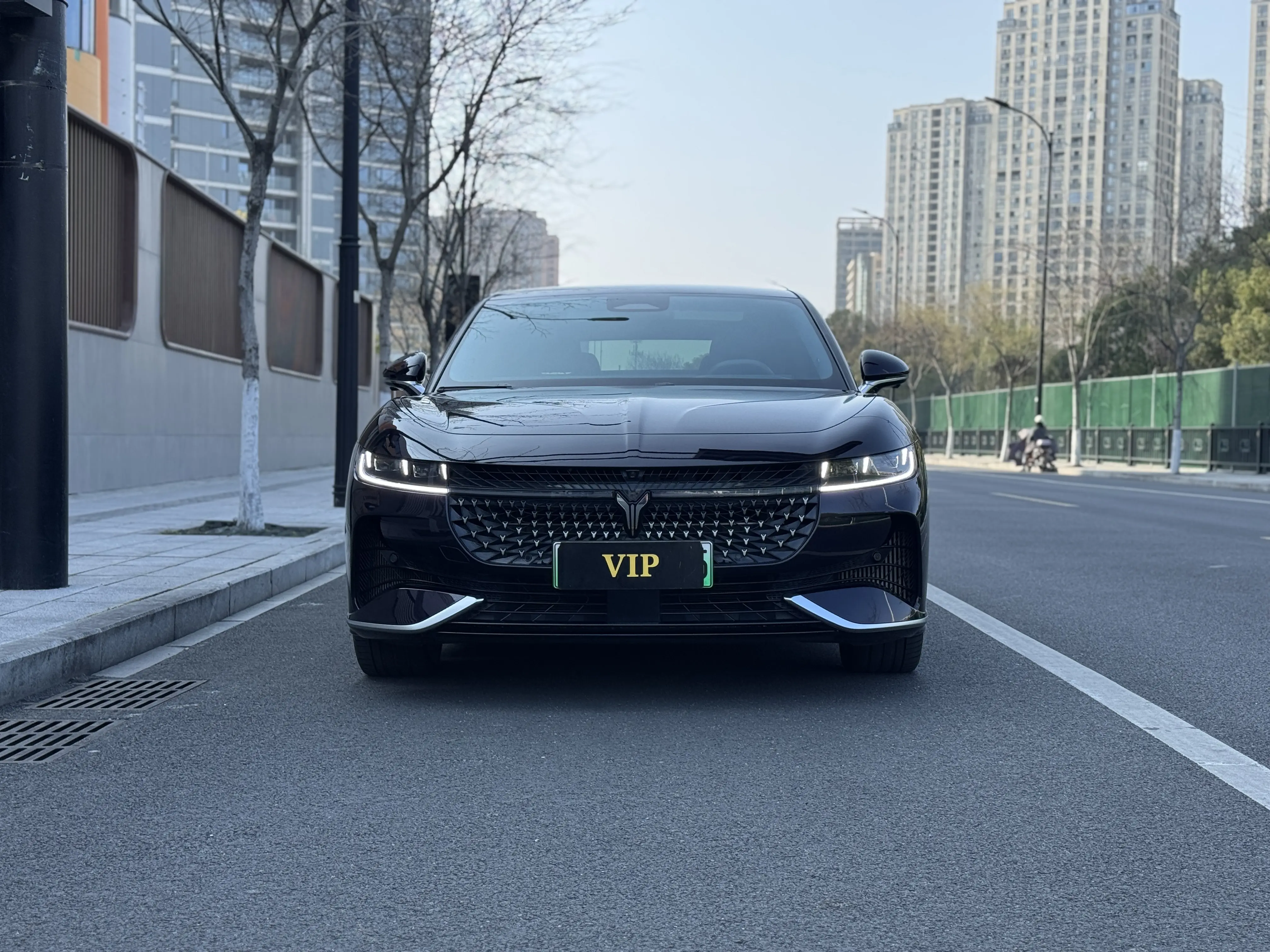 Voyah Passion PHEV  из Китая