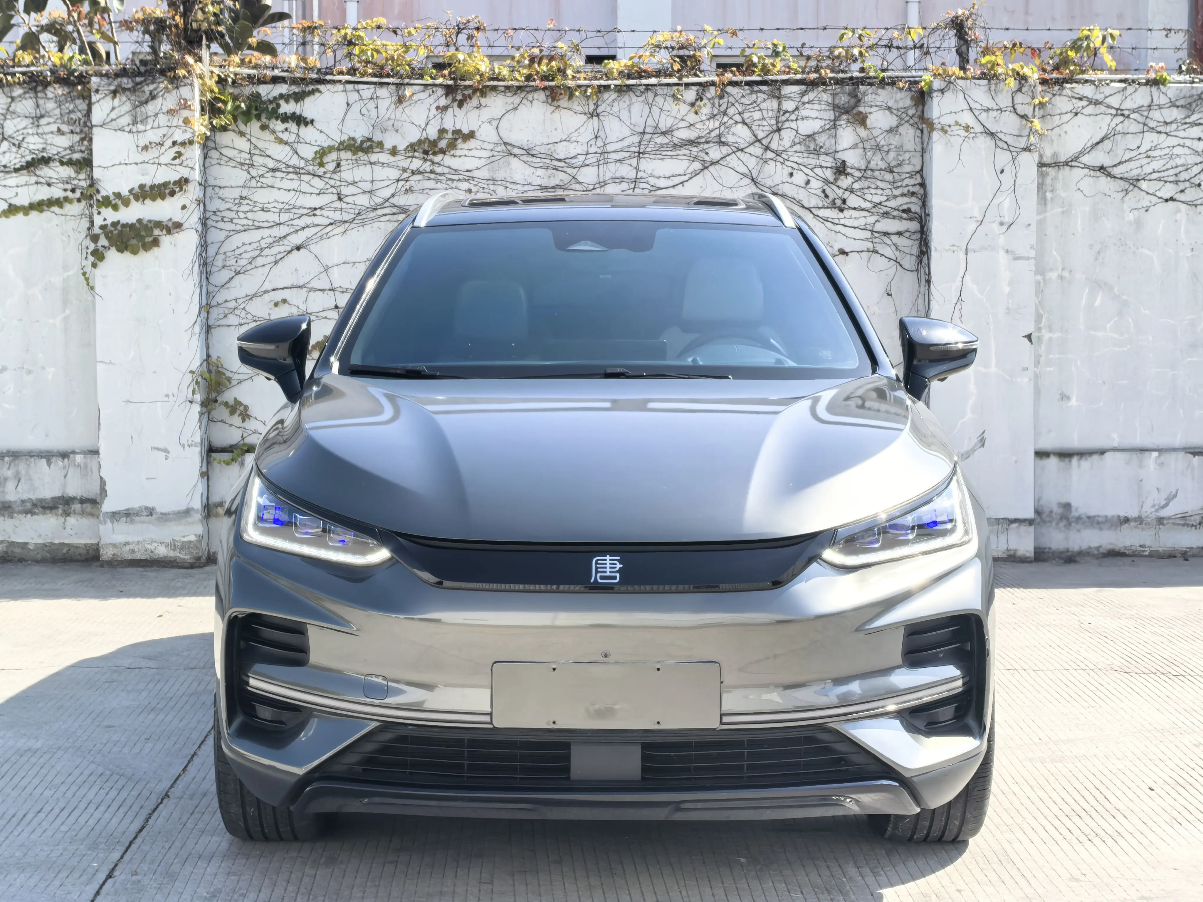 BYD Tang EV  из Китая