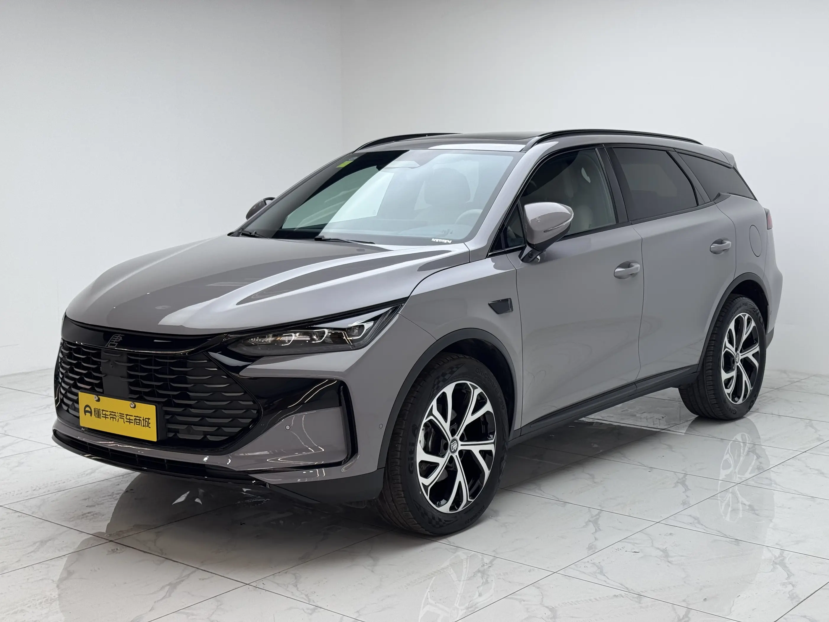 BYD Tang DM