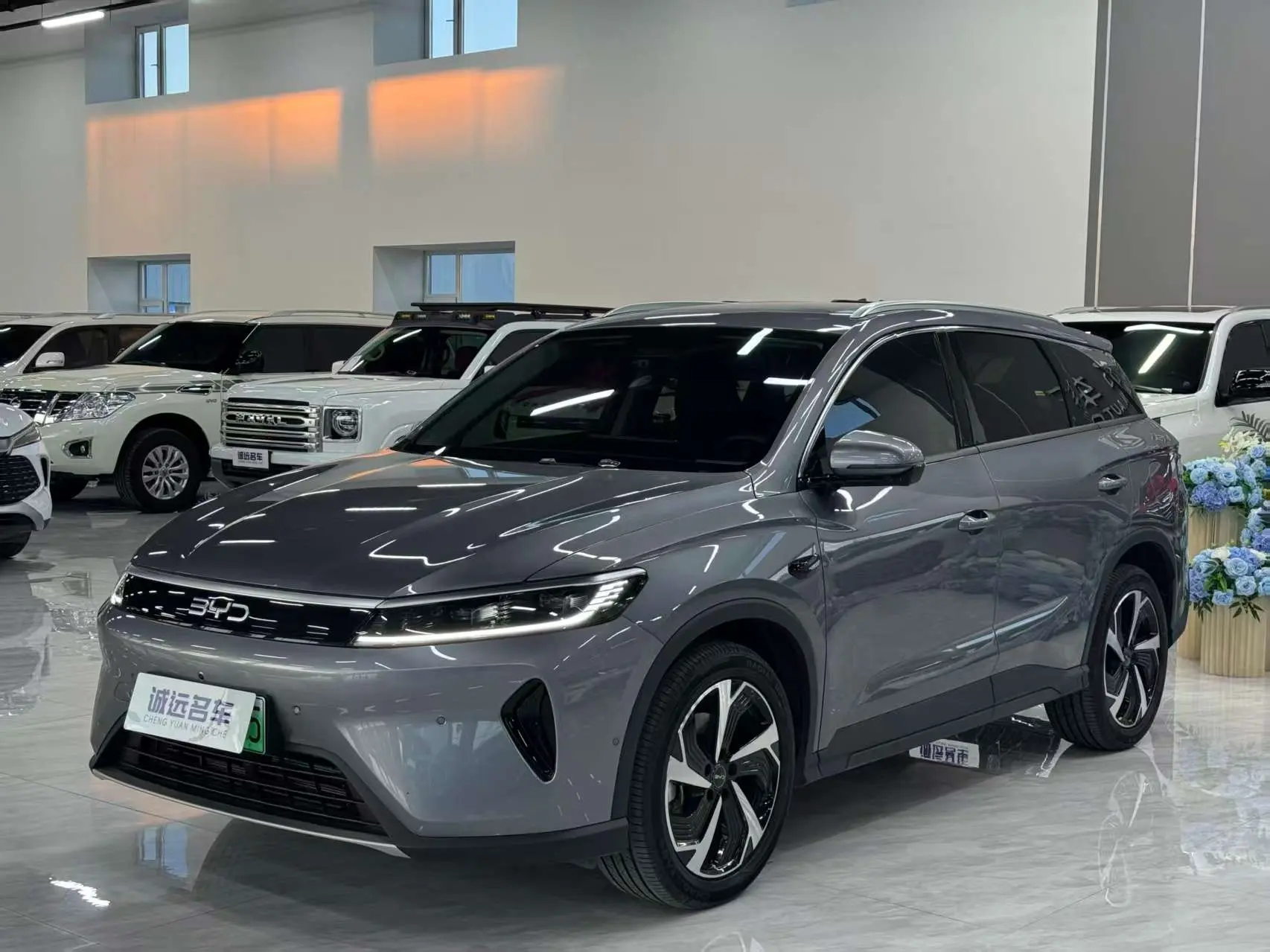 BYD Sea Lion 05DM