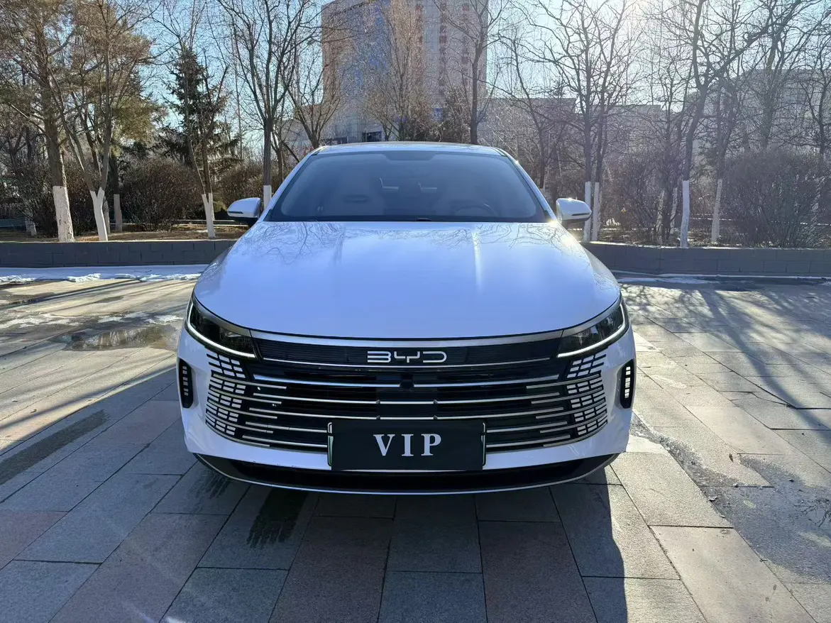 BYD Destroyer 05