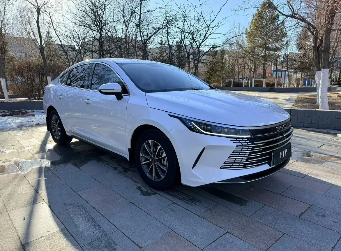BYD Destroyer 05