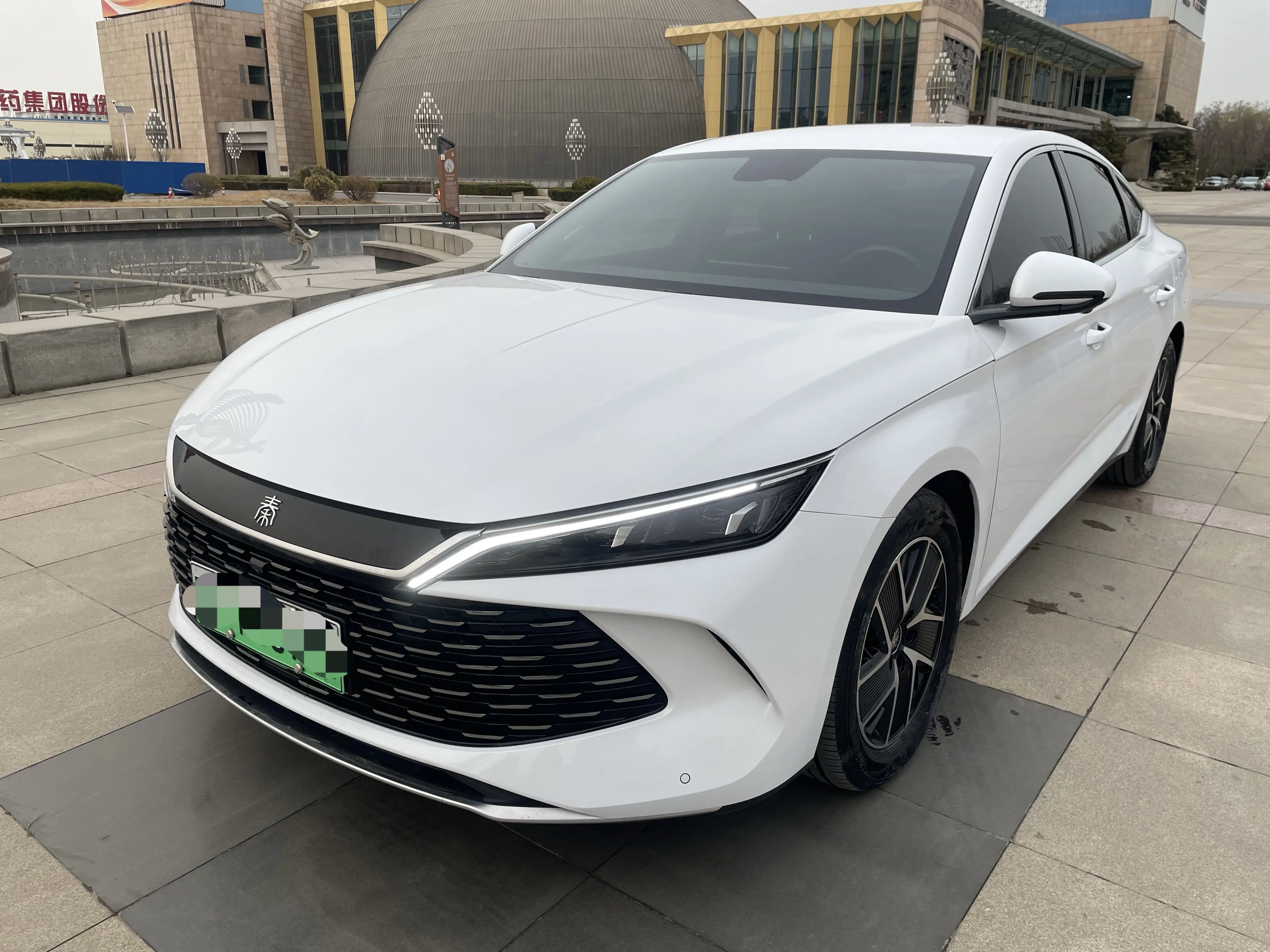 BYD Qin L DM
