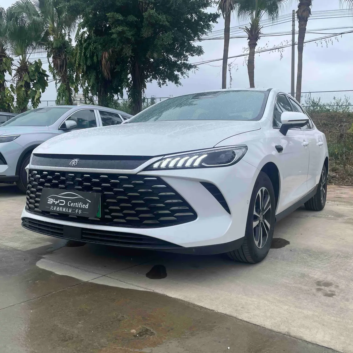 BYD Qin PLUS DM
