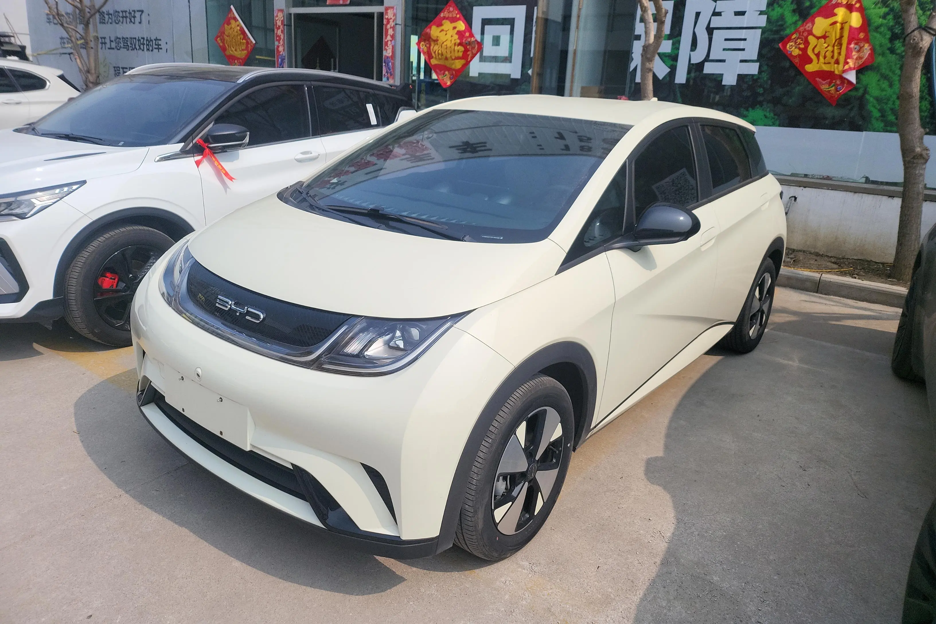 BYD Dolphin  из Китая