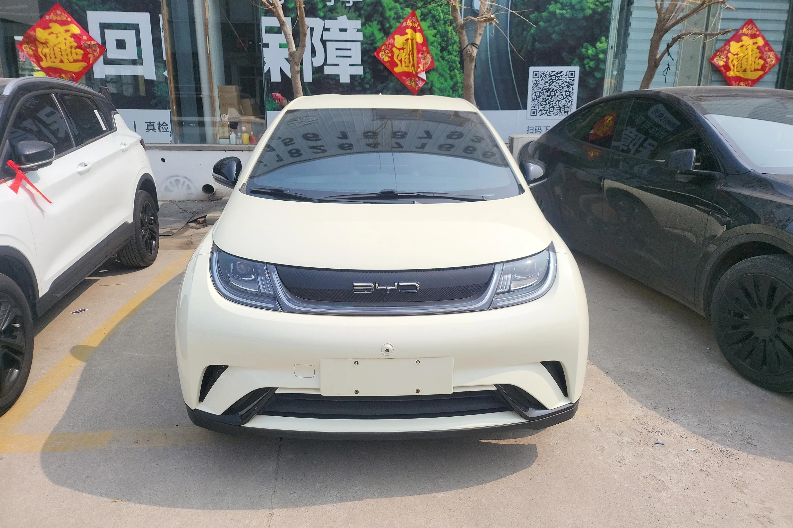 BYD Dolphin  из Китая