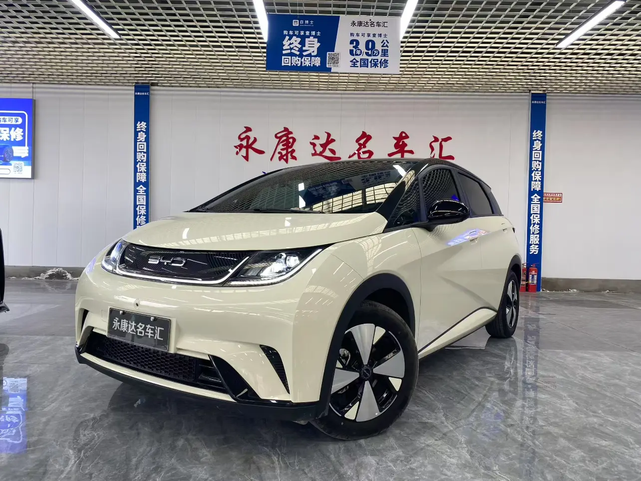 BYD Dolphin  из Китая