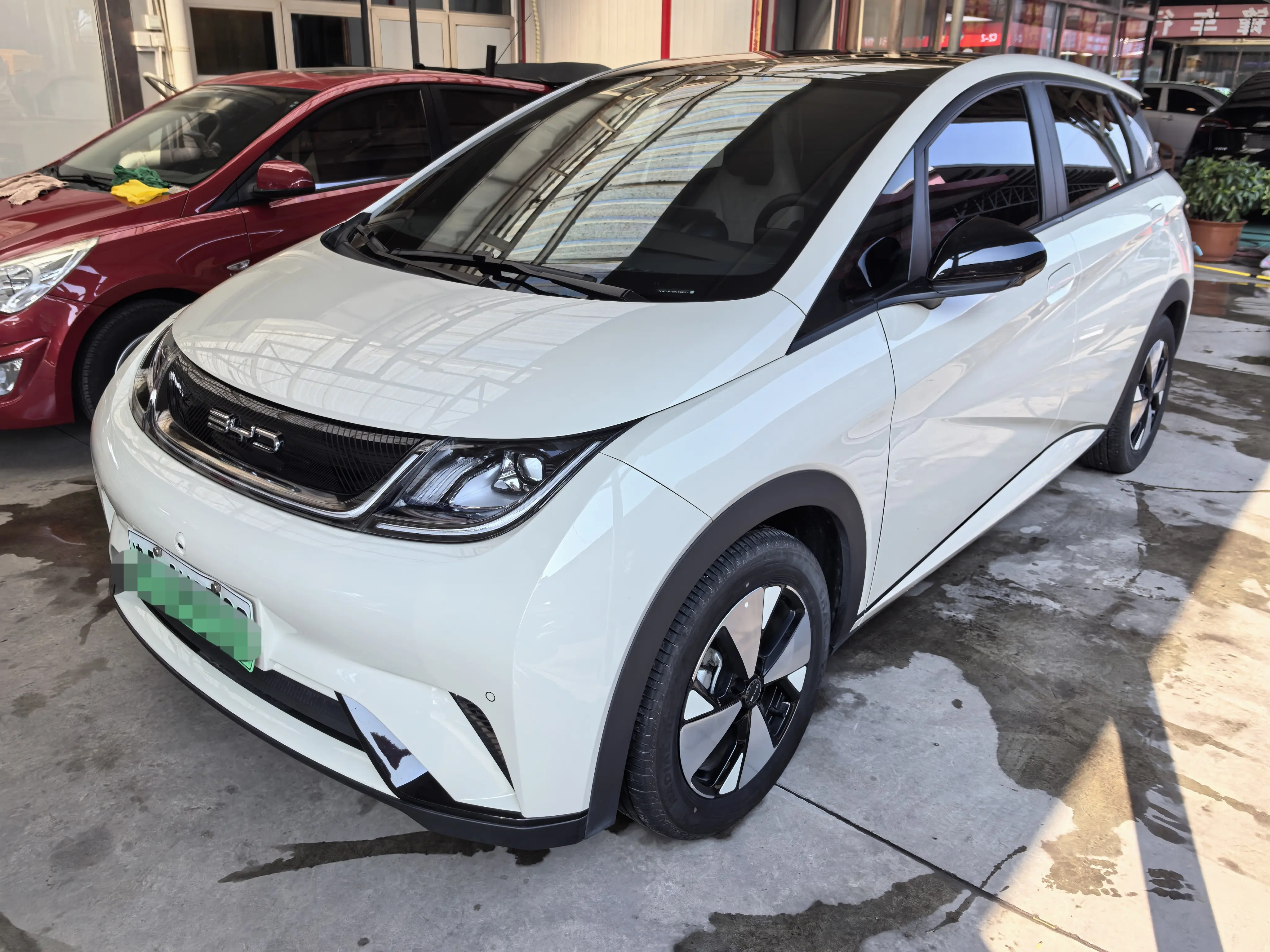 BYD Dolphin