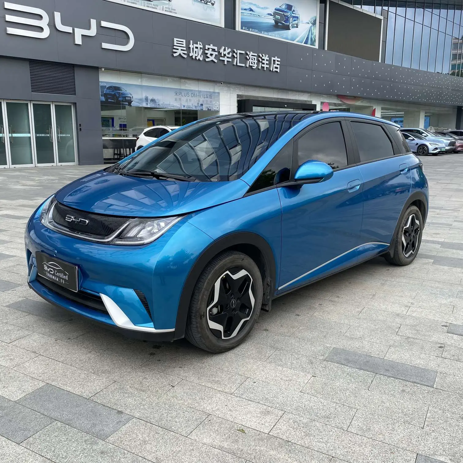 BYD Dolphin  из Китая