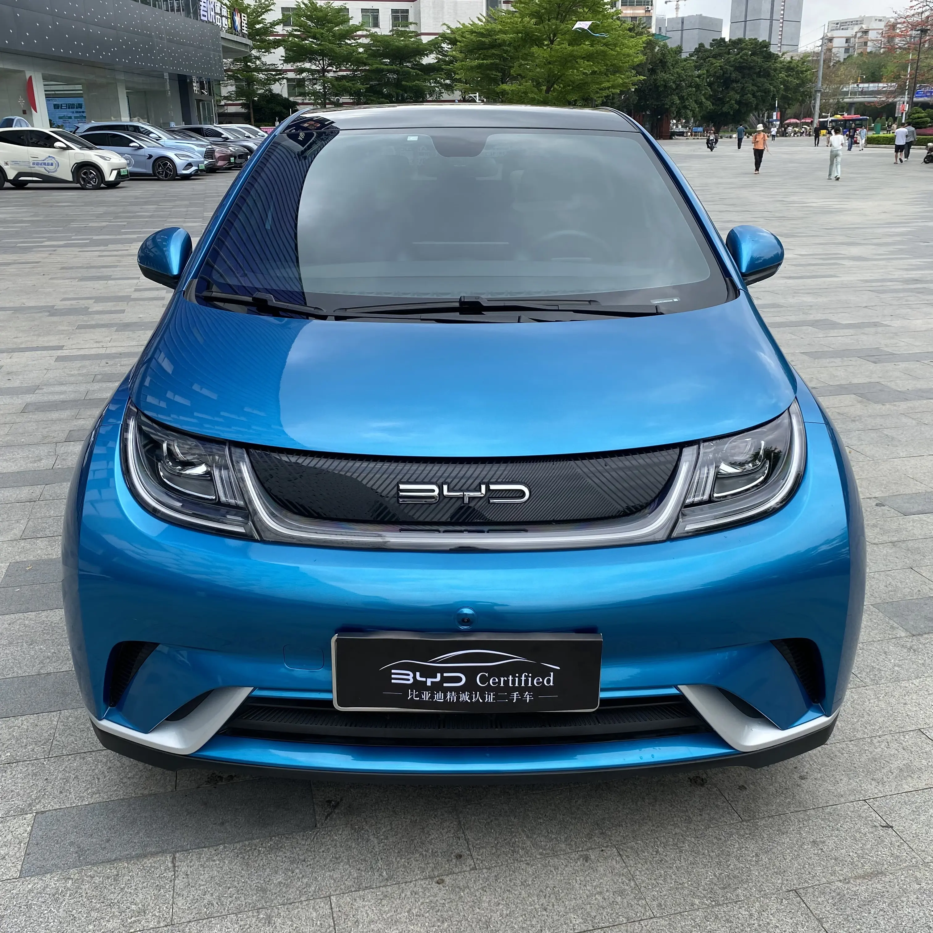 BYD Dolphin  из Китая