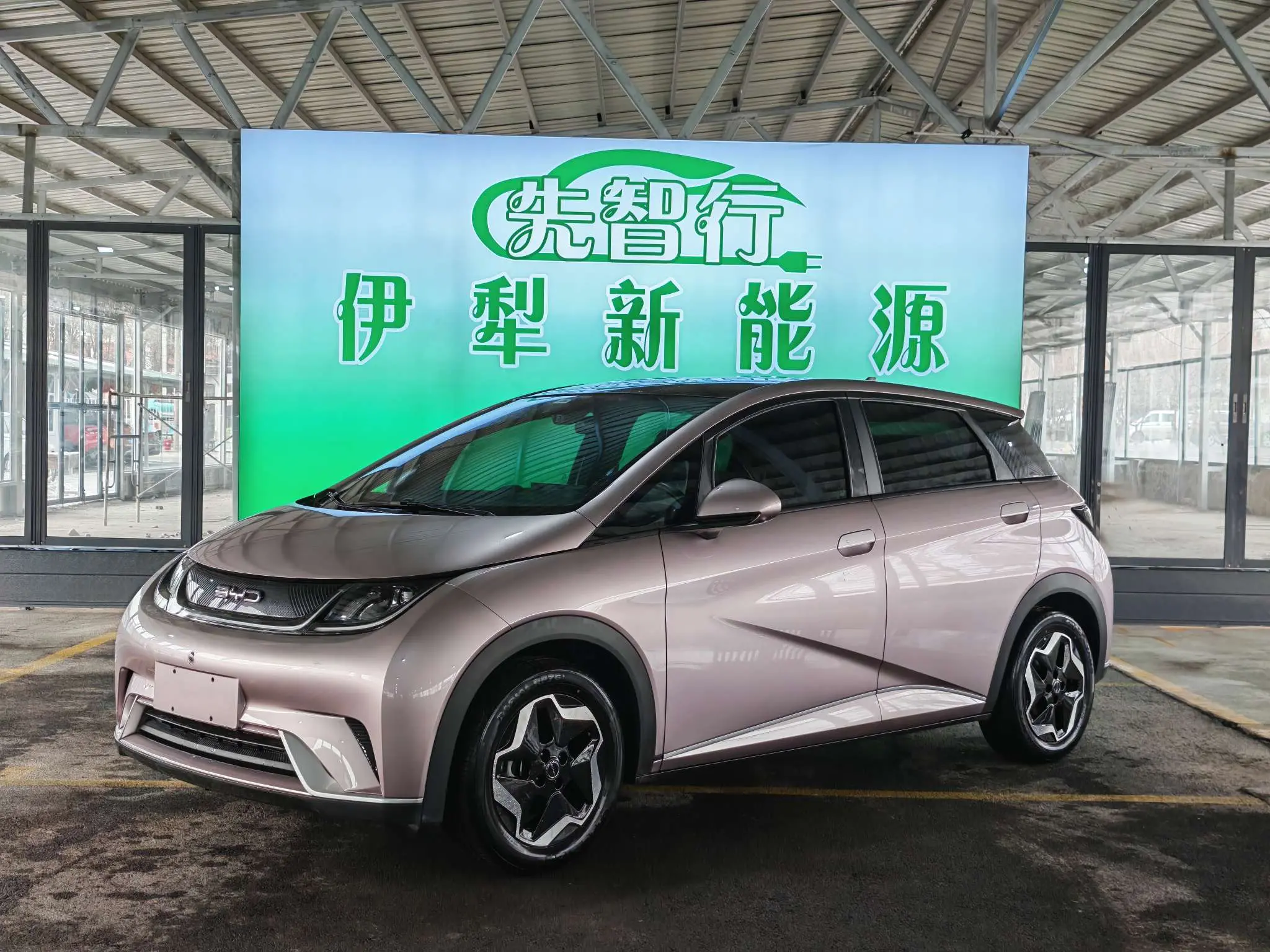 BYD Dolphin  из Китая