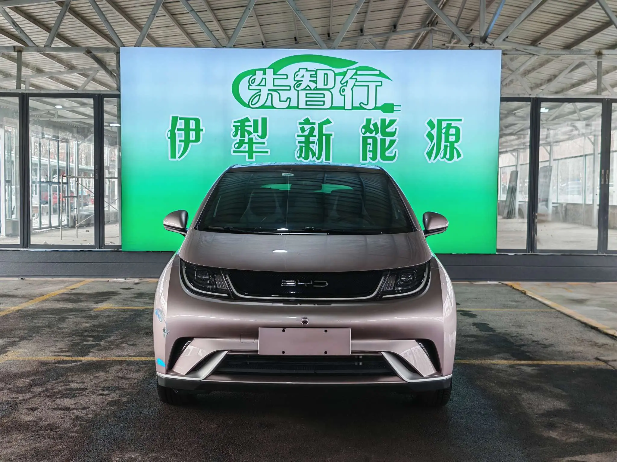 BYD Dolphin  из Китая