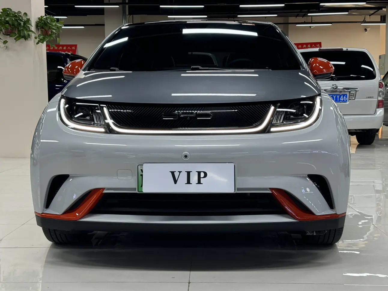 BYD Dolphin  из Китая