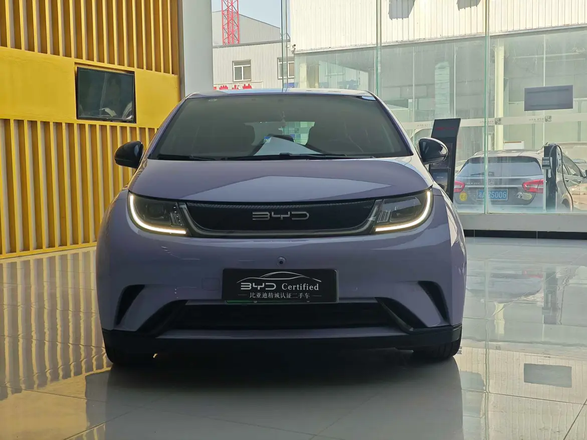 BYD Dolphin  из Китая