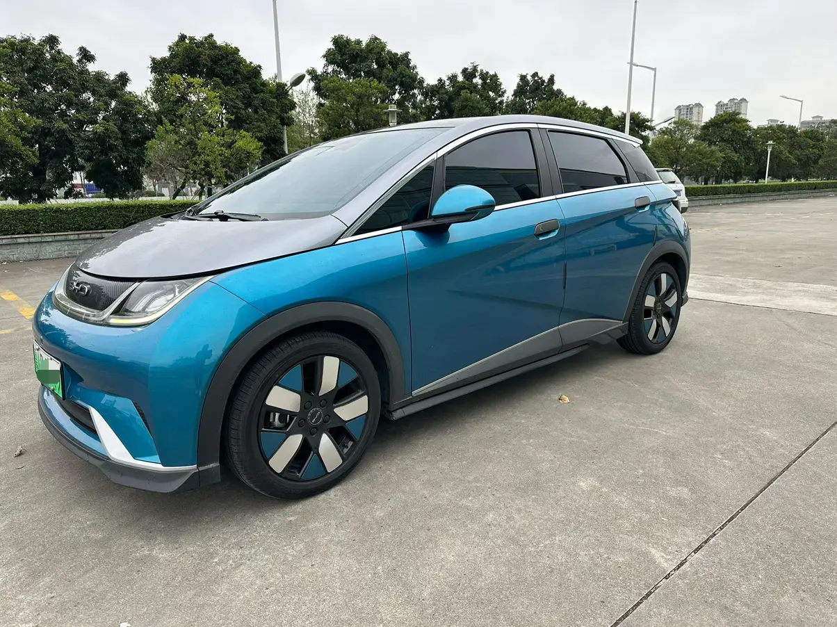 BYD Dolphin  из Китая