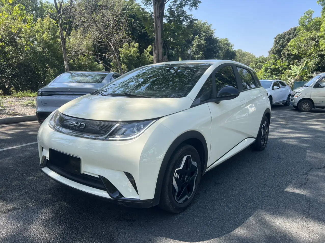 BYD Dolphin