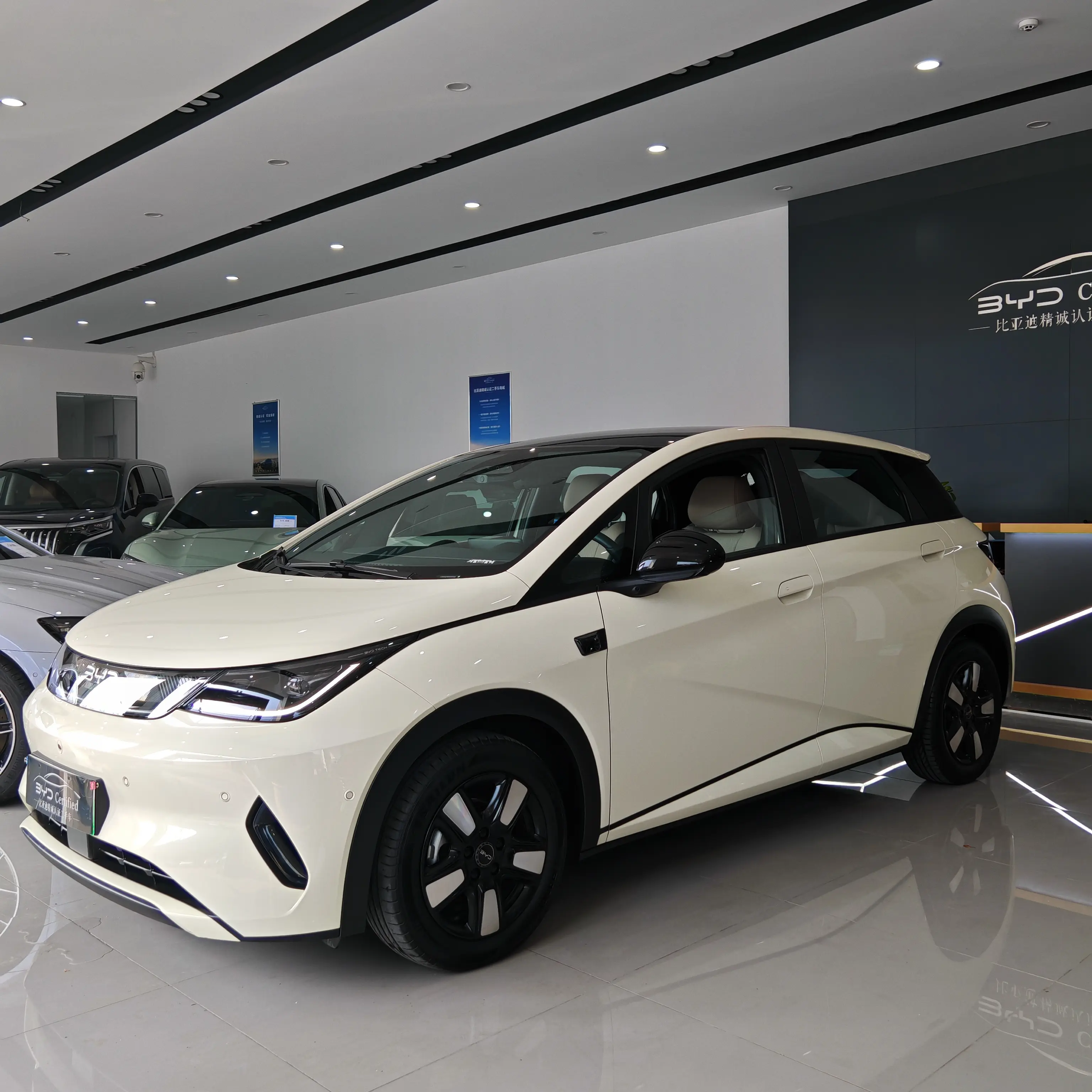 BYD Dolphin