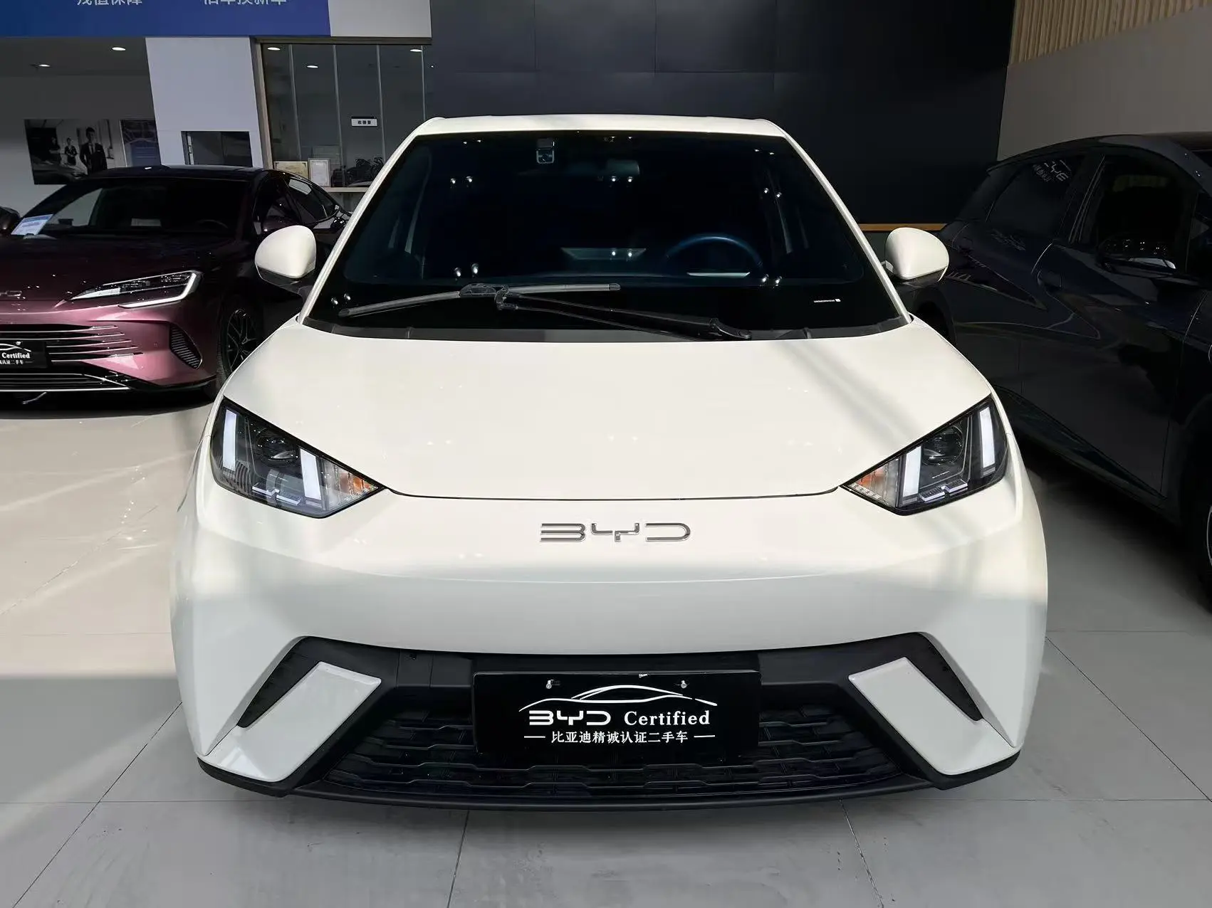 BYD Seagull  из Китая