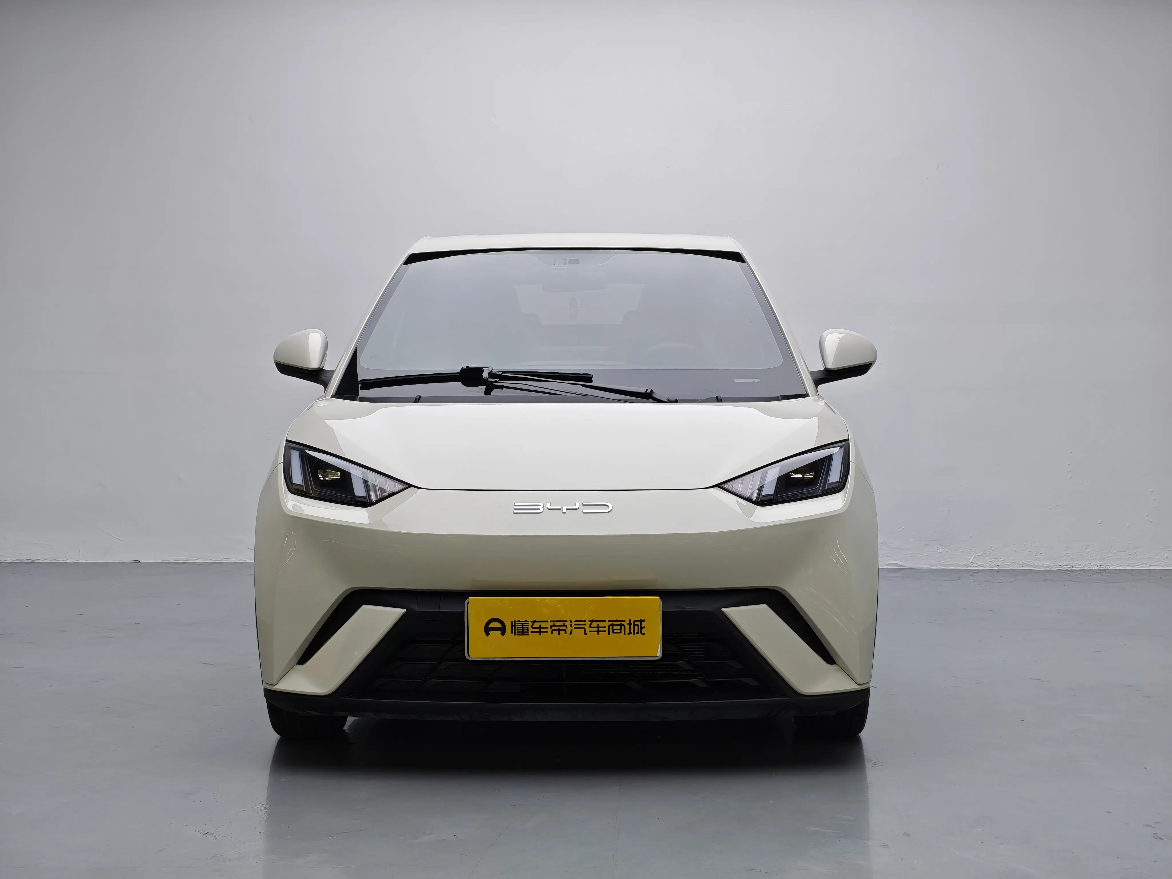 BYD Seagull  из Китая