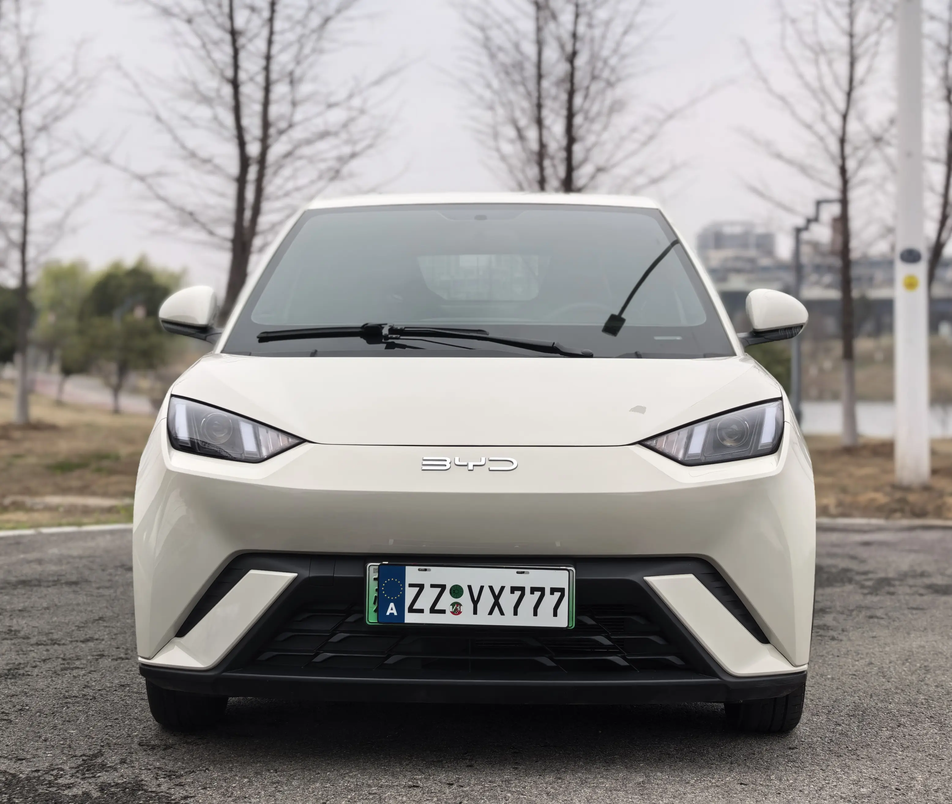 BYD Seagull  из Китая