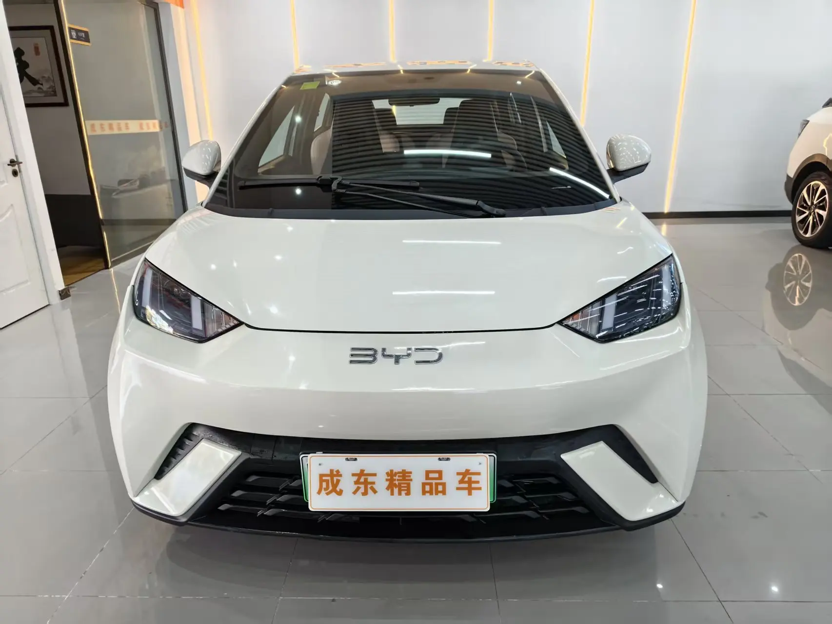 BYD Seagull  из Китая