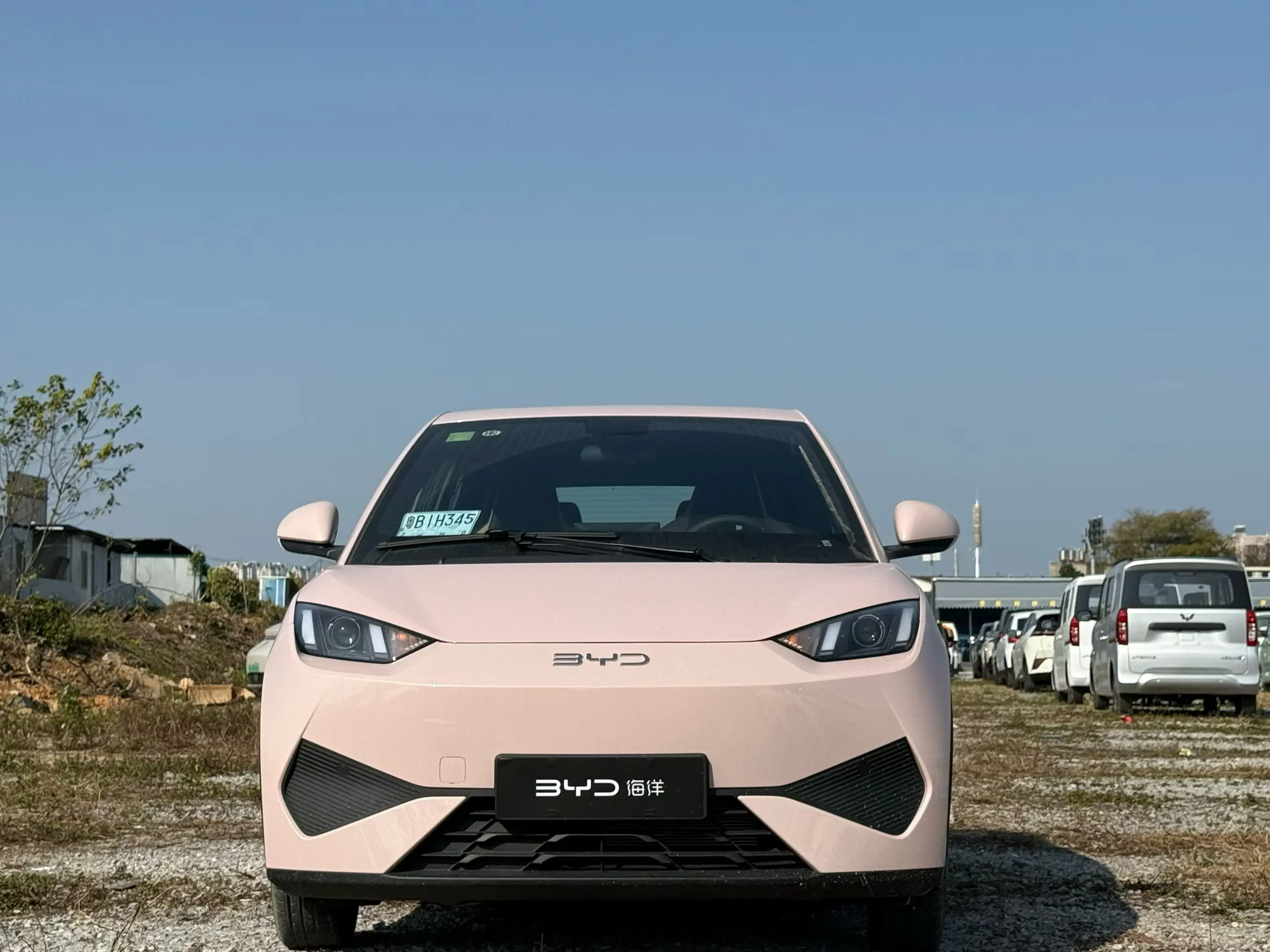 BYD Seagull  из Китая