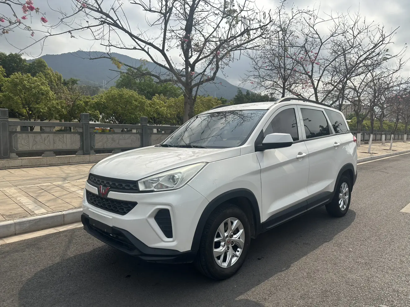 Wuling Hongguang PLUS