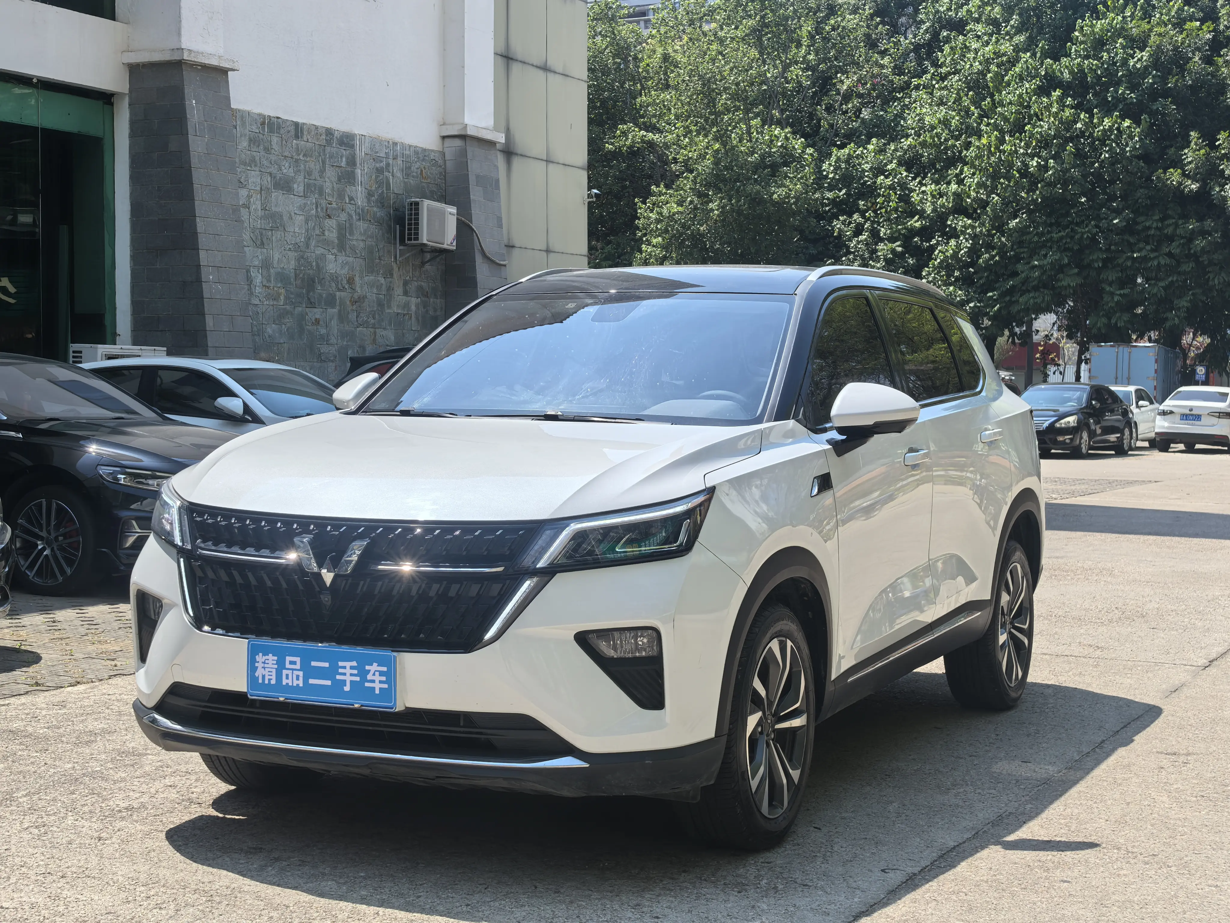 Wuling Star