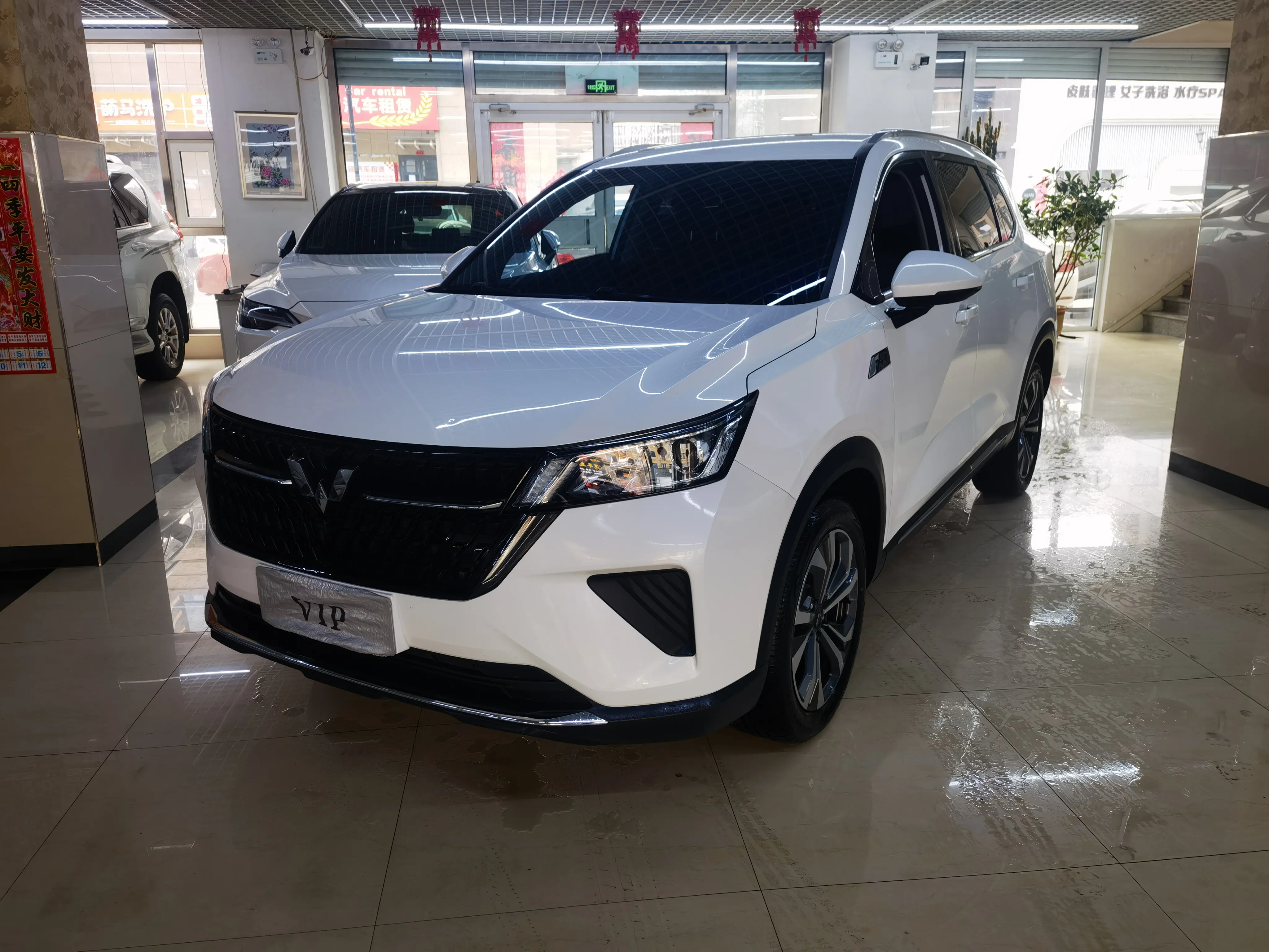 Wuling Star