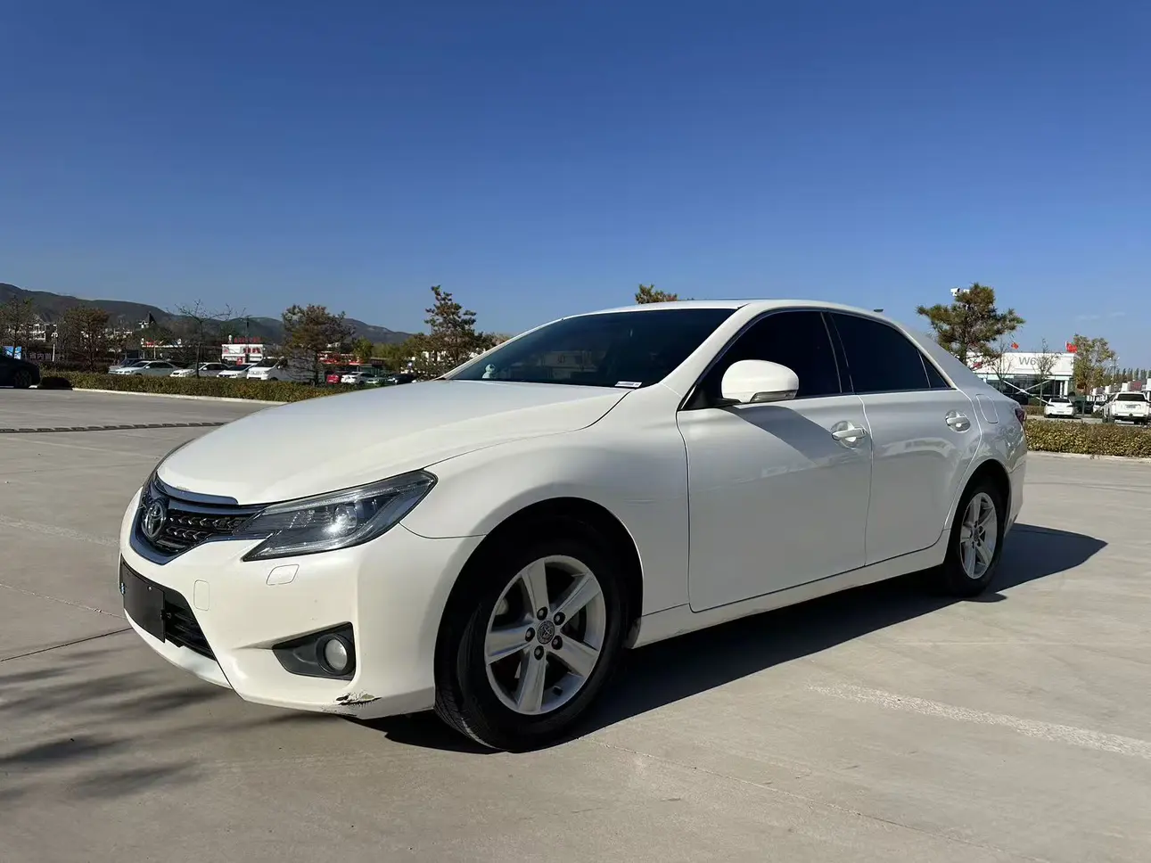 Toyota Ruizhi