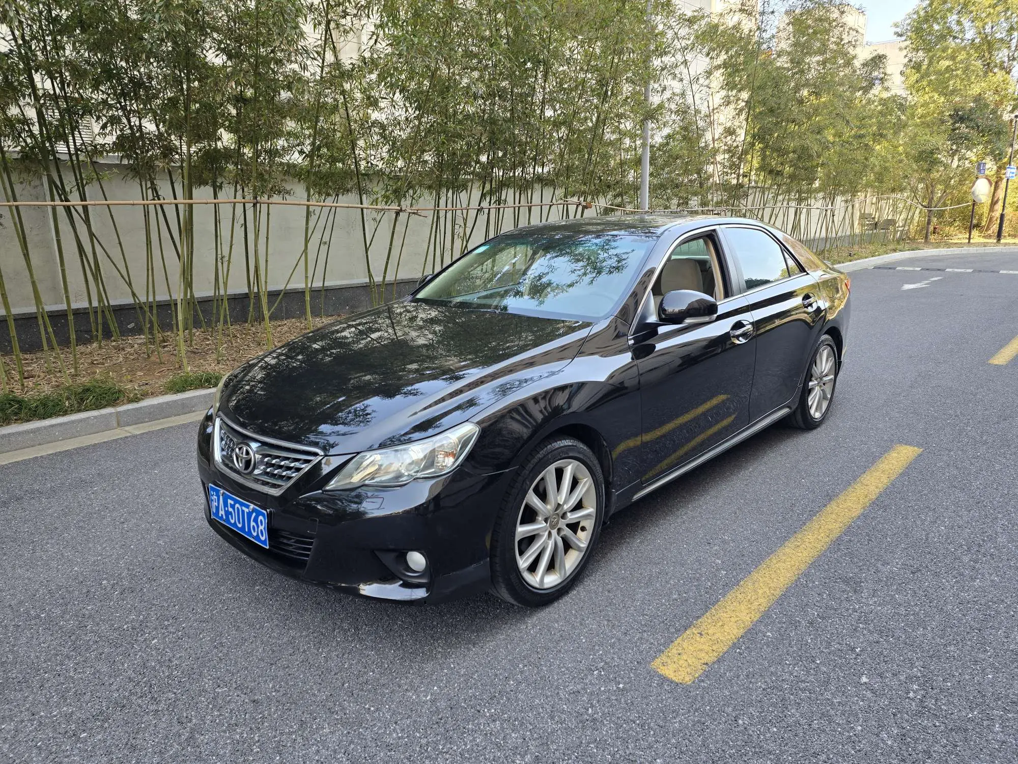 Toyota Ruizhi