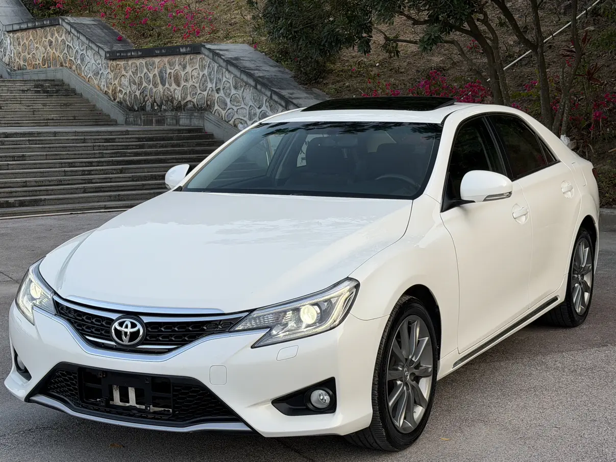 Toyota Ruizhi